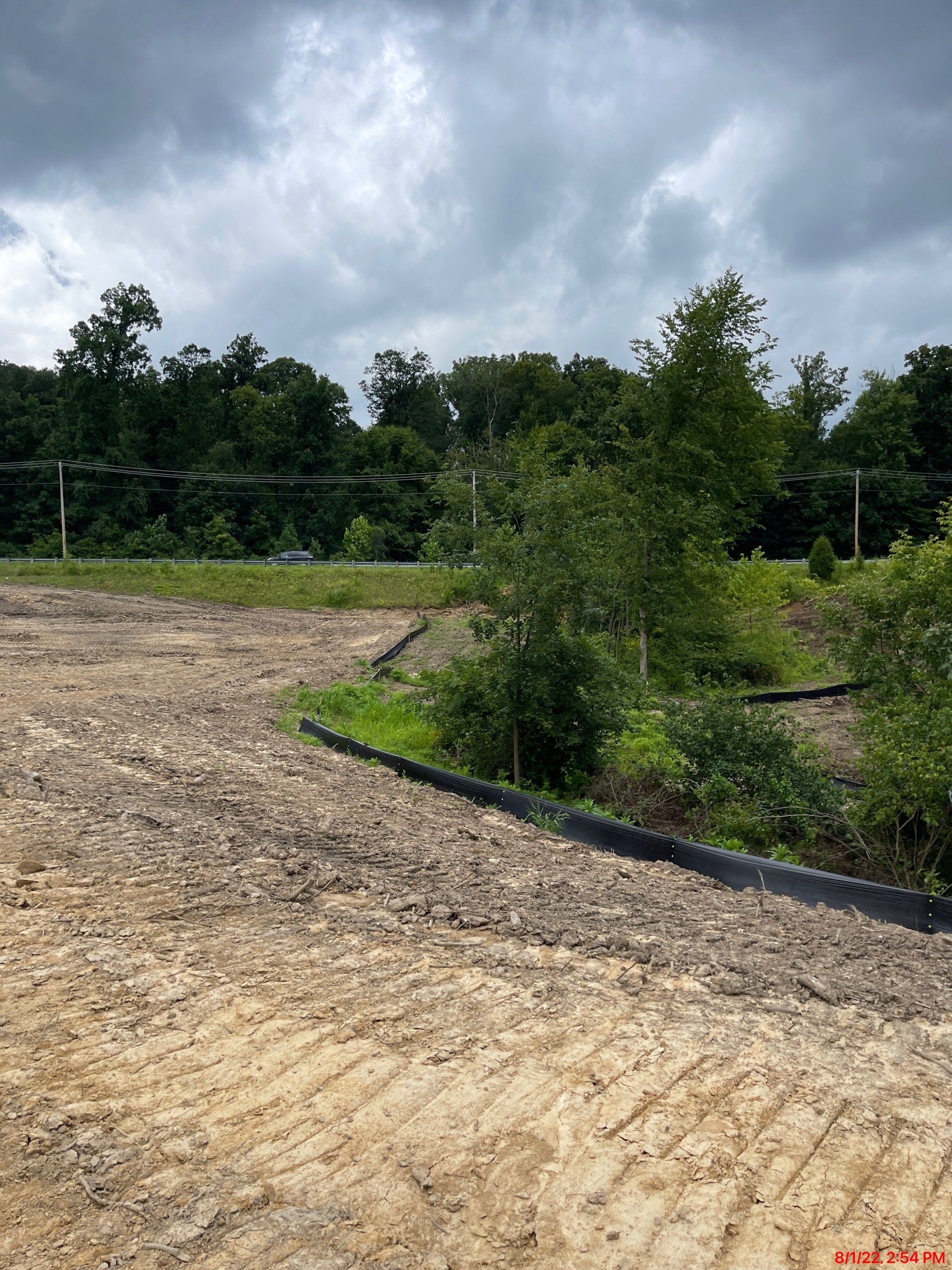 Dirt ground with vegetation and trees under a cloudy sky.