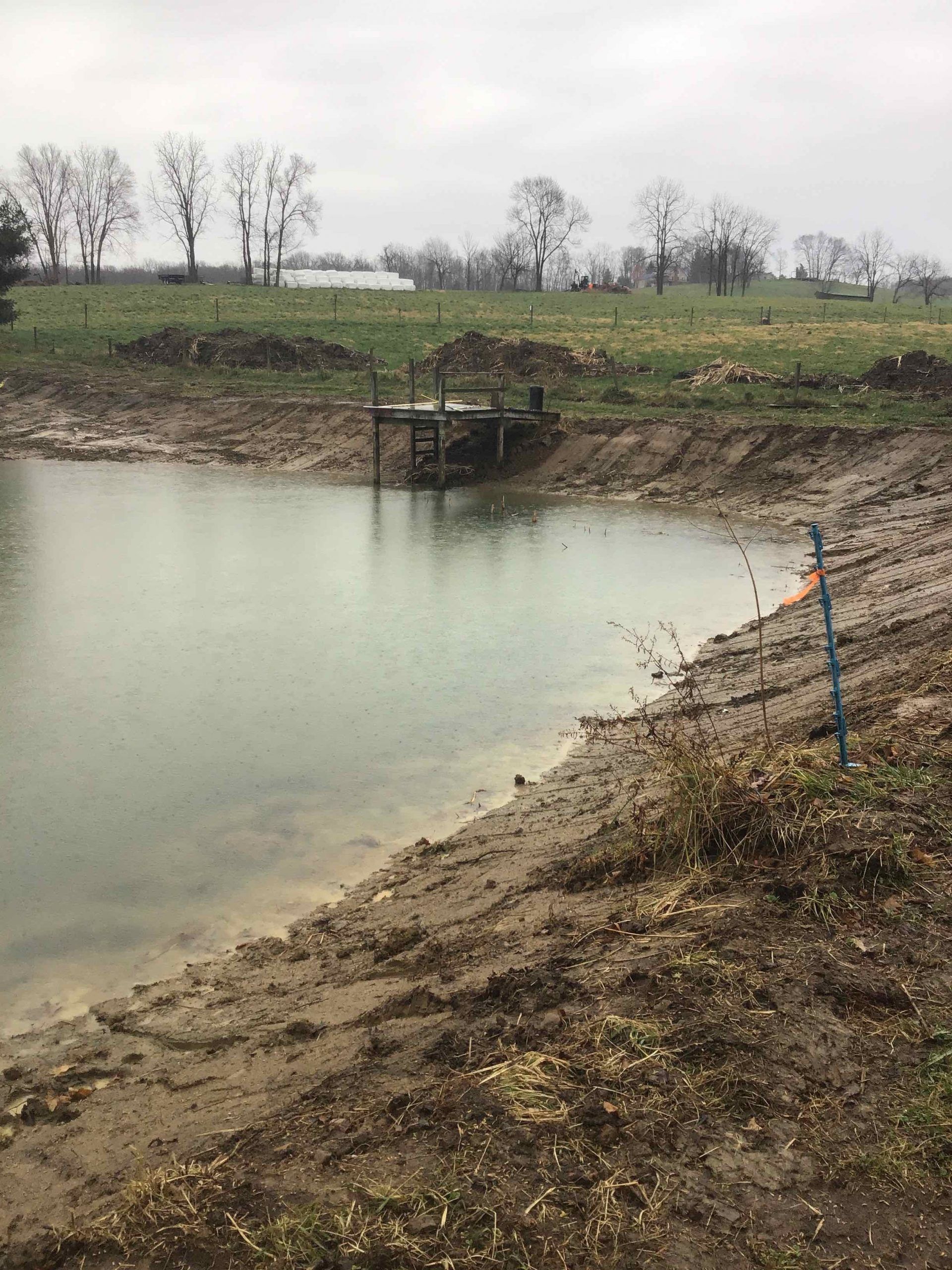 Muddy pond with a small wooden dock, in a grassy field. Overcast sky.