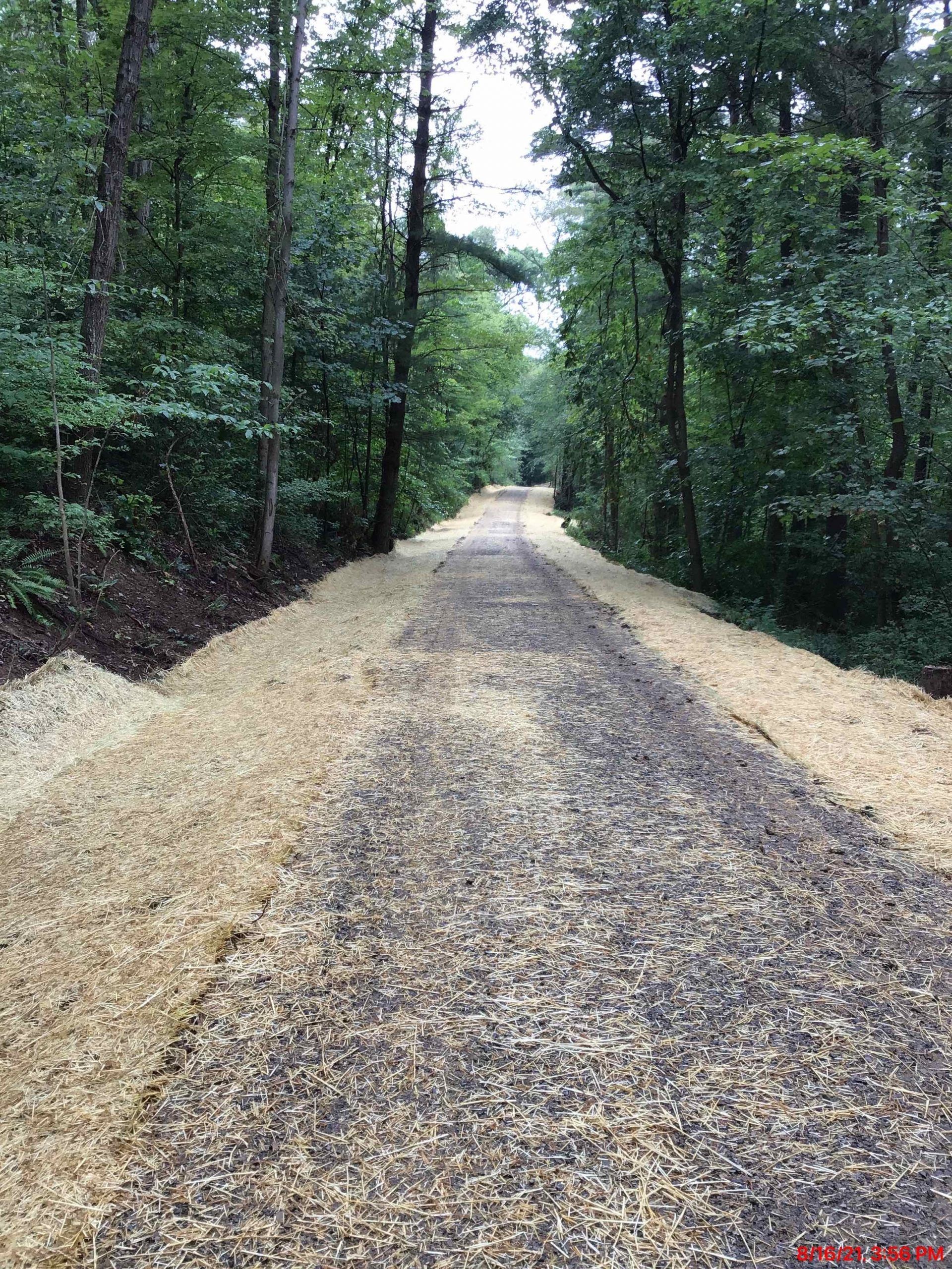 Wood-chipped path through a forest, lined with trees on both sides, leading toward a light area.