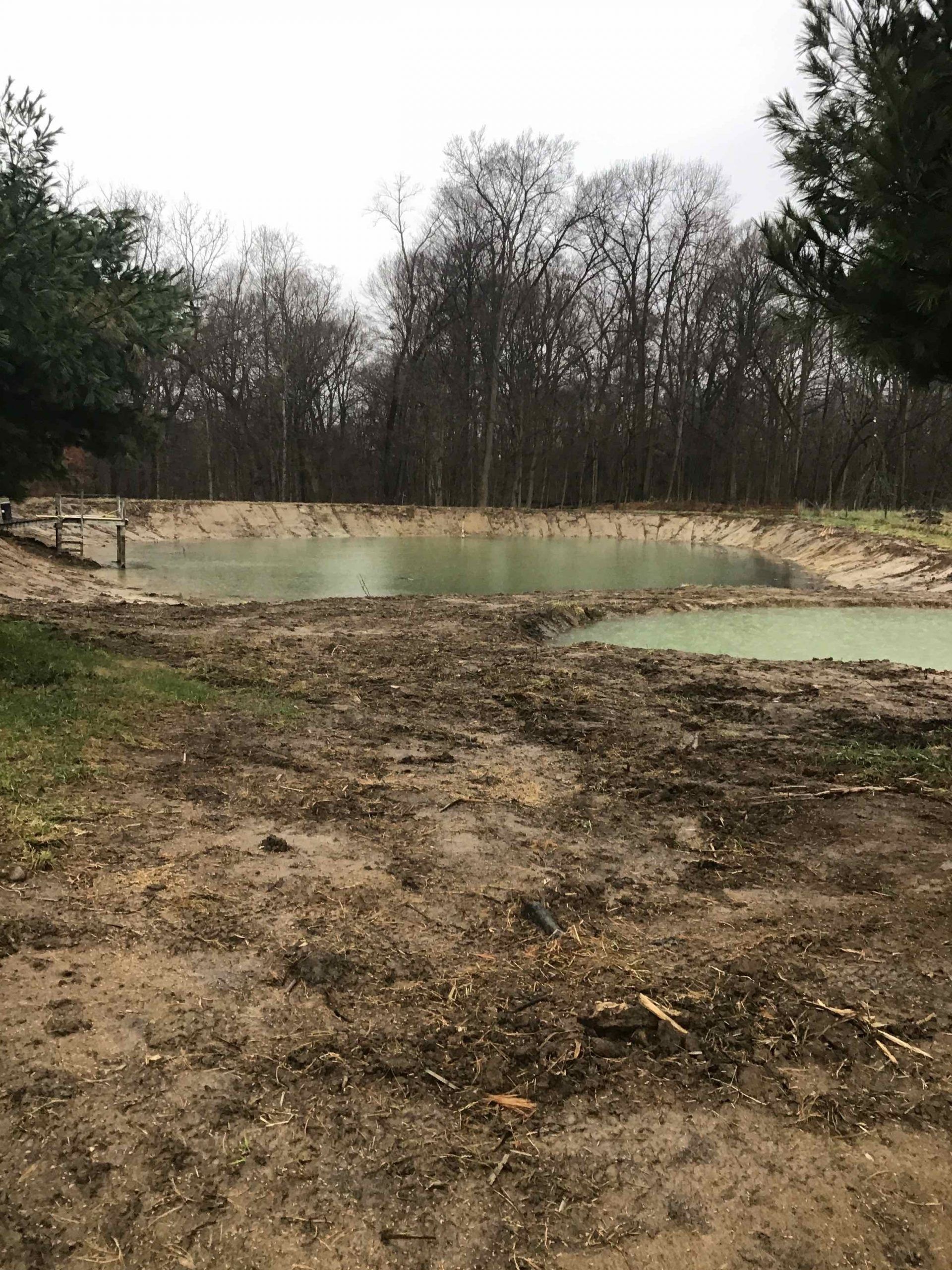 Muddy pond surrounded by bare trees under an overcast sky.
