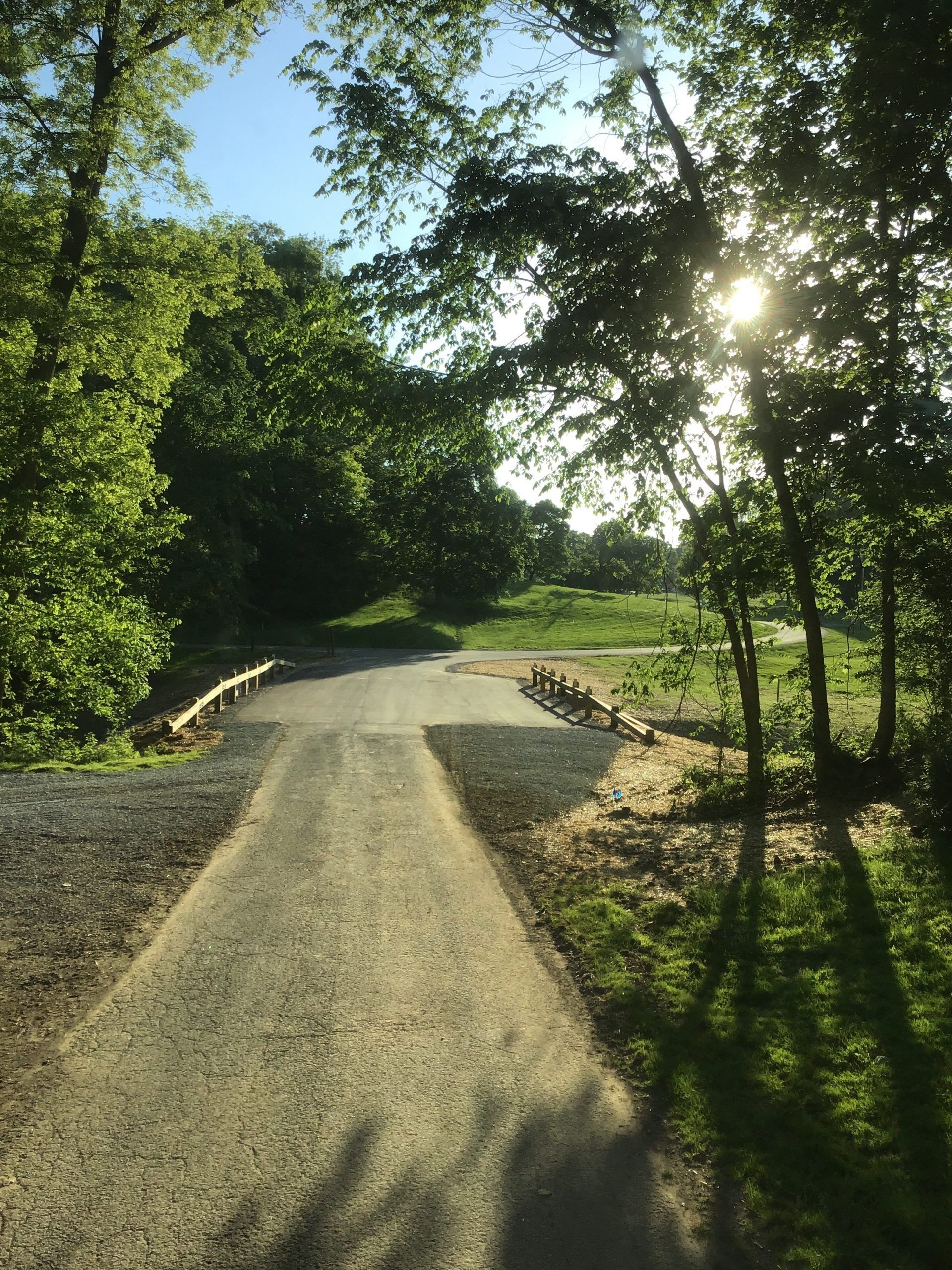 Gravel path through a sunny park, lined with trees. Sunlight shines through the foliage.