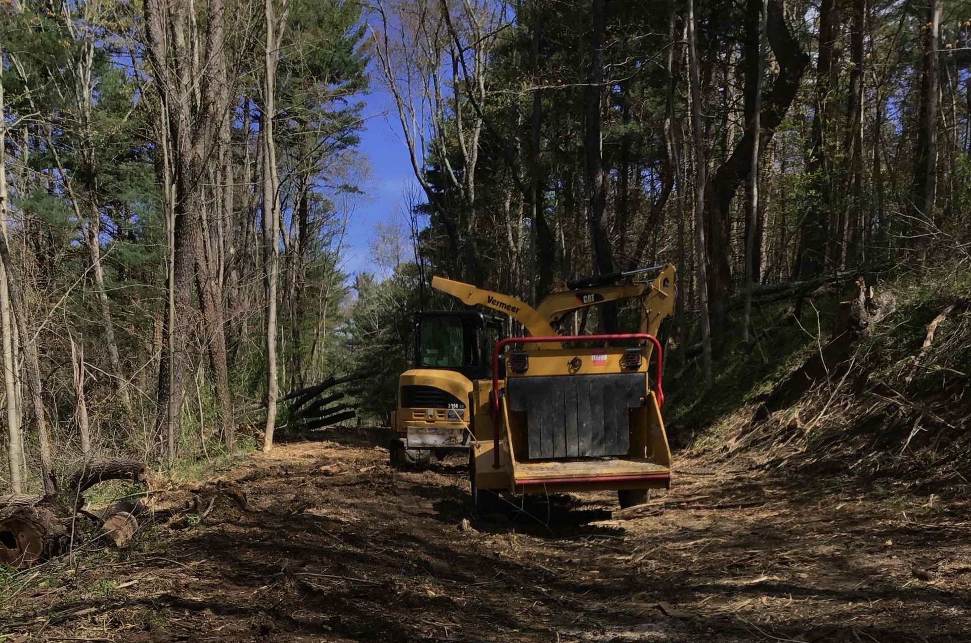 Yellow wood chipper and skid steer on a dirt path in a wooded area, chipping trees. Blue sky visible.