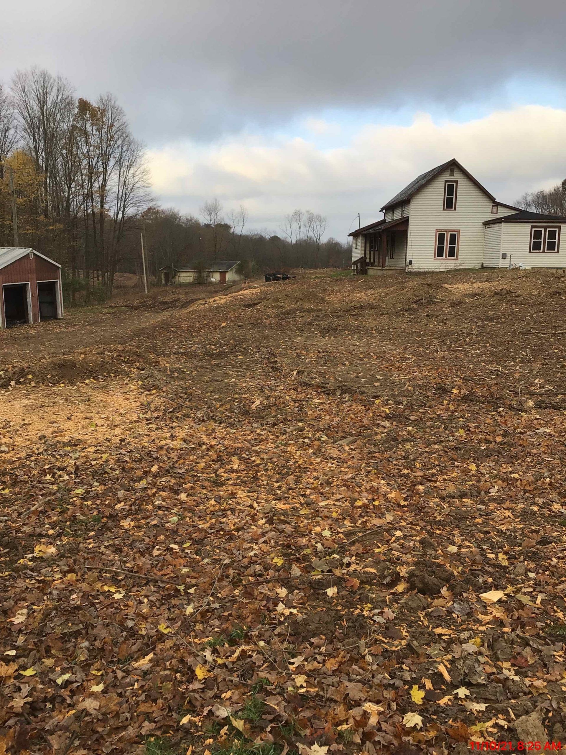 Farmhouse and shed in a leaf-covered field under a cloudy sky.