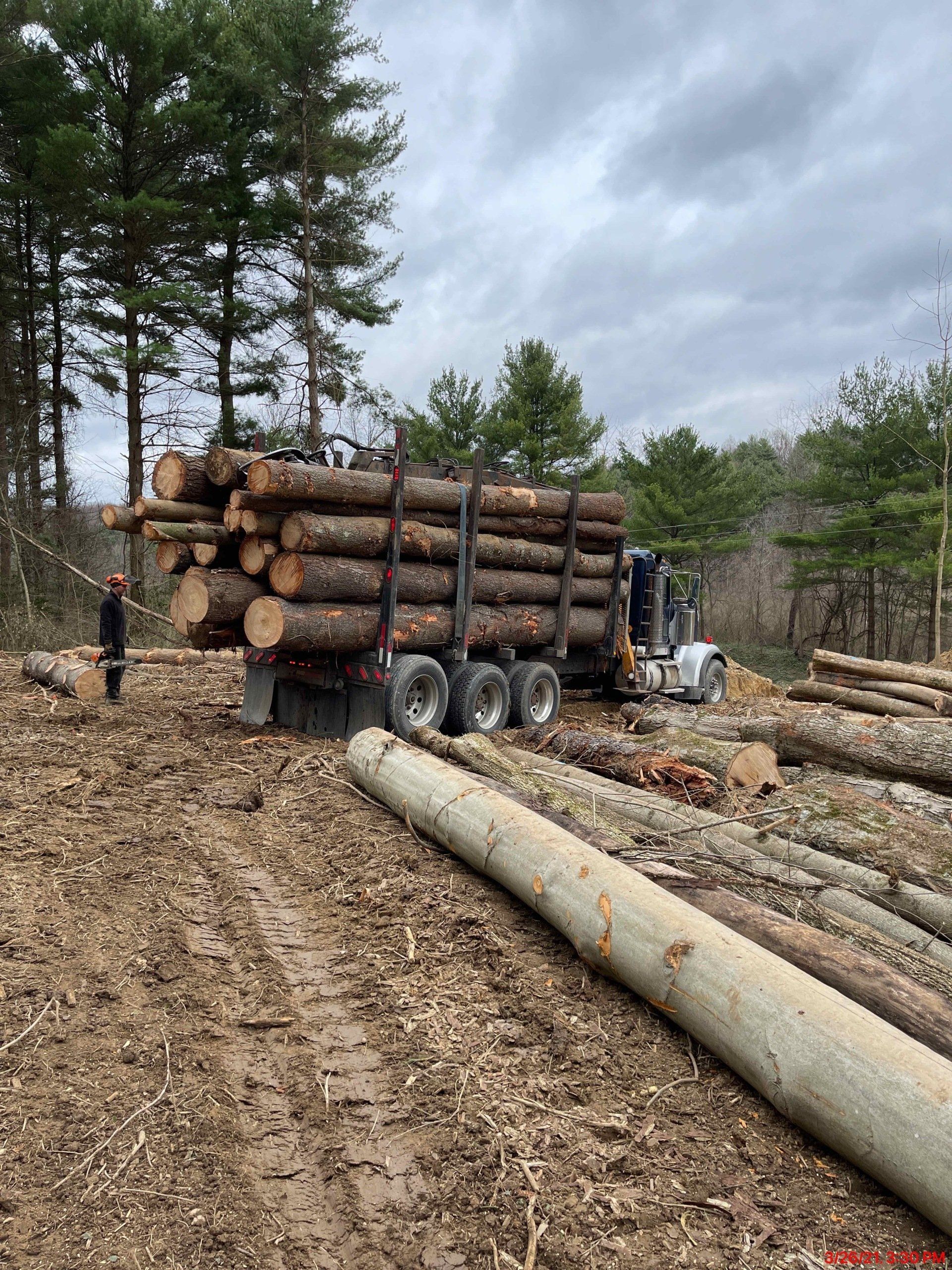 Log truck loaded with logs in a forest. A person stands nearby, logs on the ground. Cloudy sky.