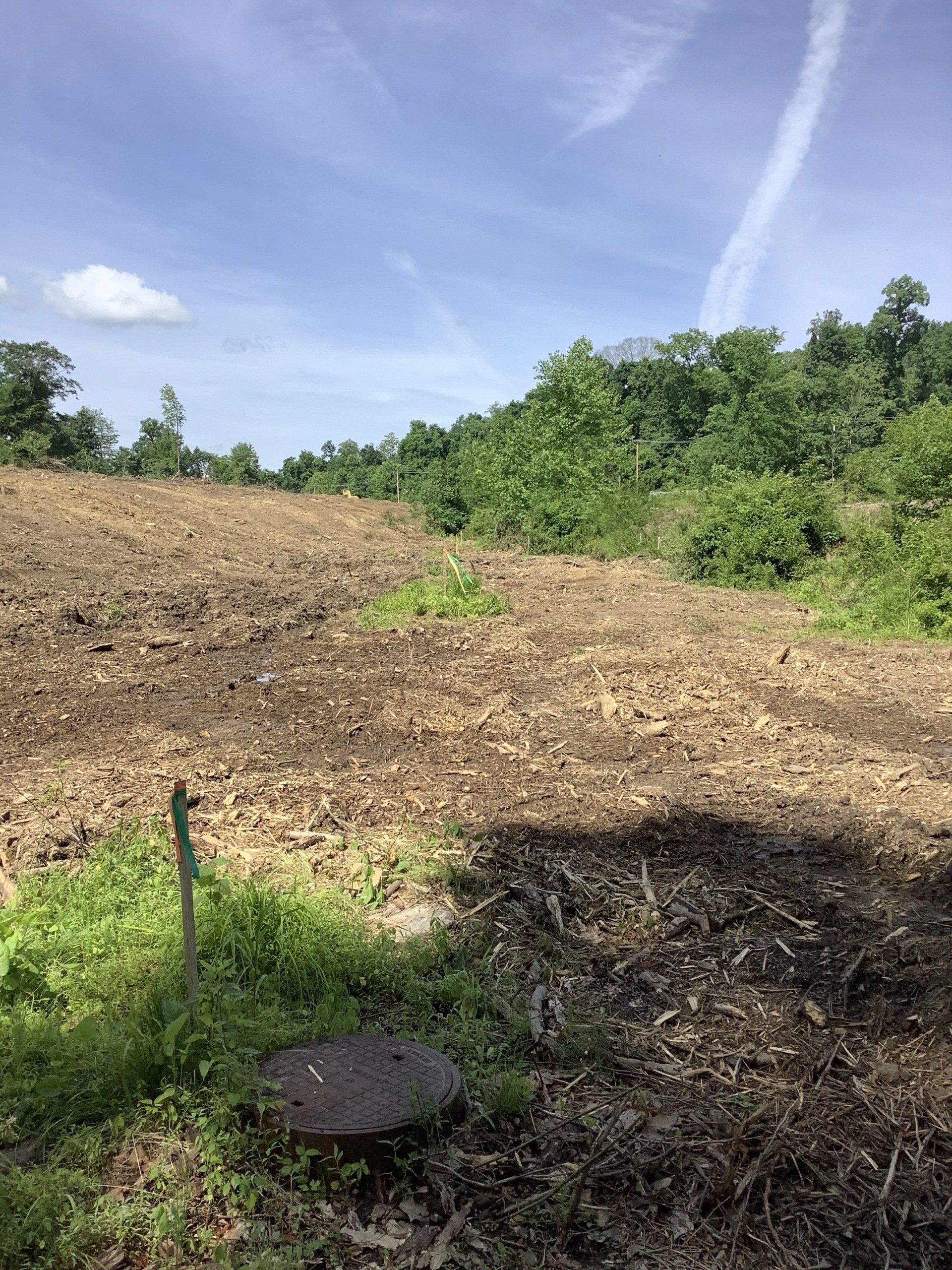 Dirt field in bright sunlight, bordered by green vegetation and trees under a blue sky.