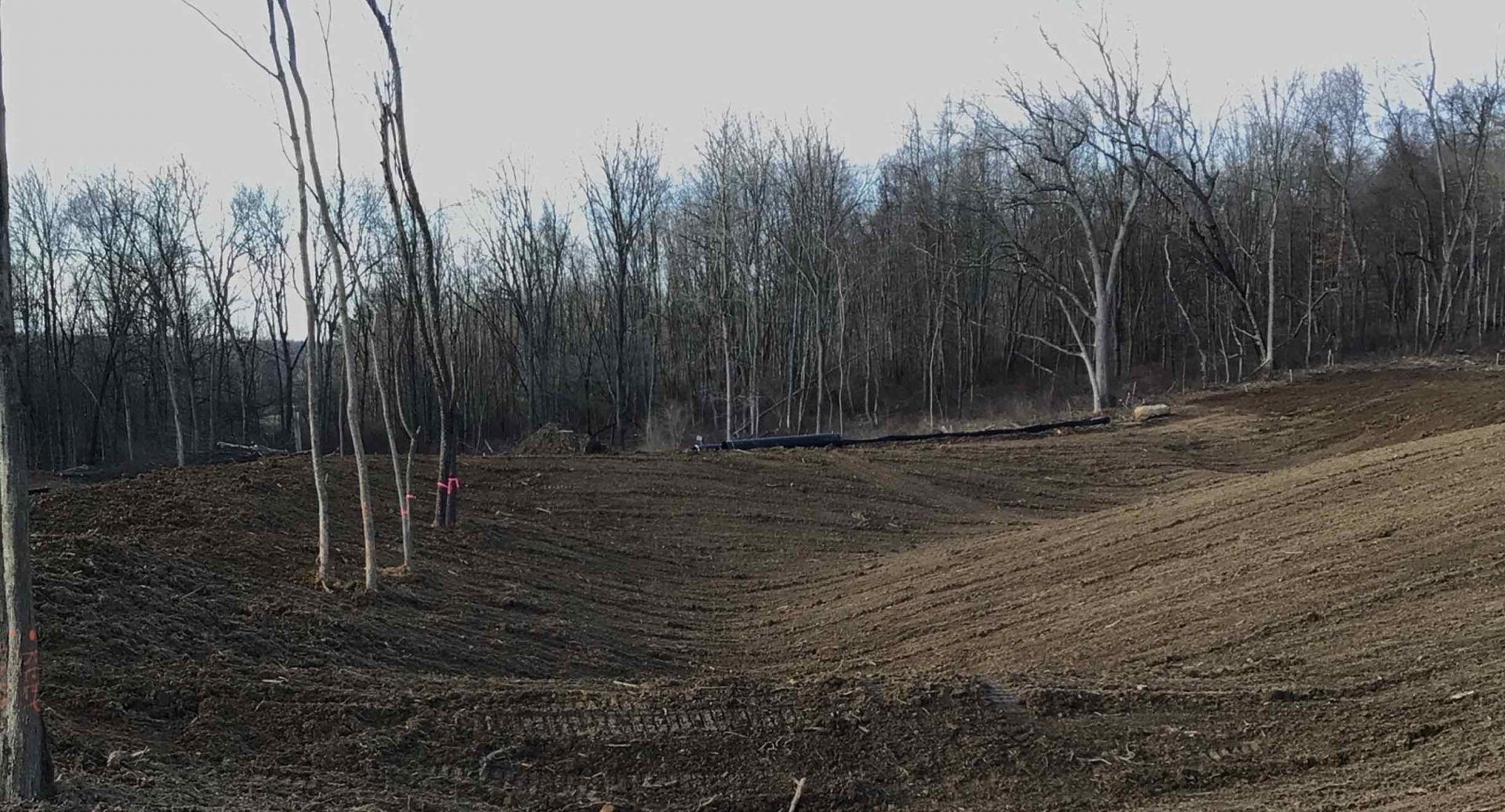 Brown field in the foreground, bare trees against a line of trees in the background, daytime.