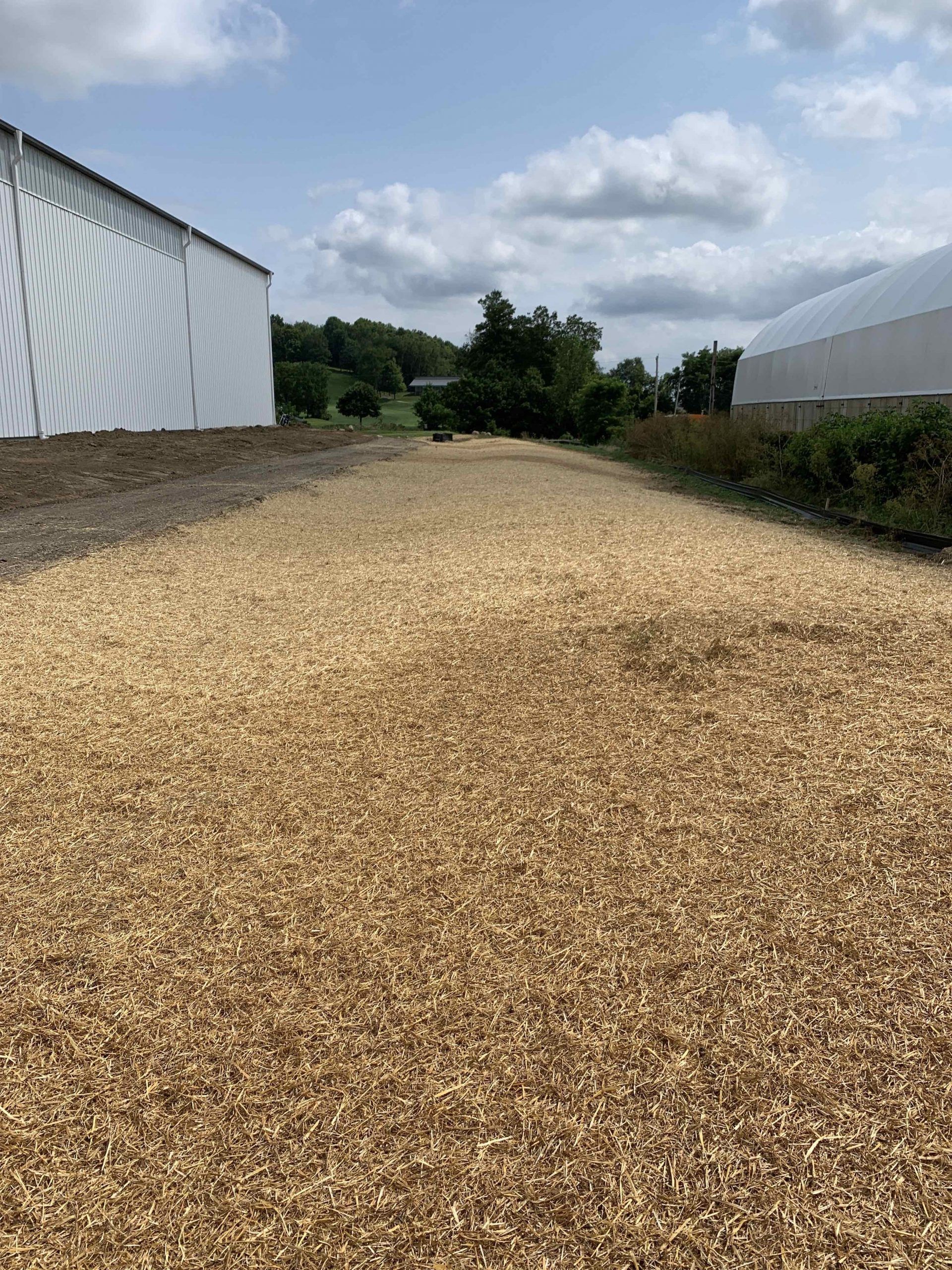 Gravel path between two white buildings on a sunny day. Trees and blue sky visible in the distance.