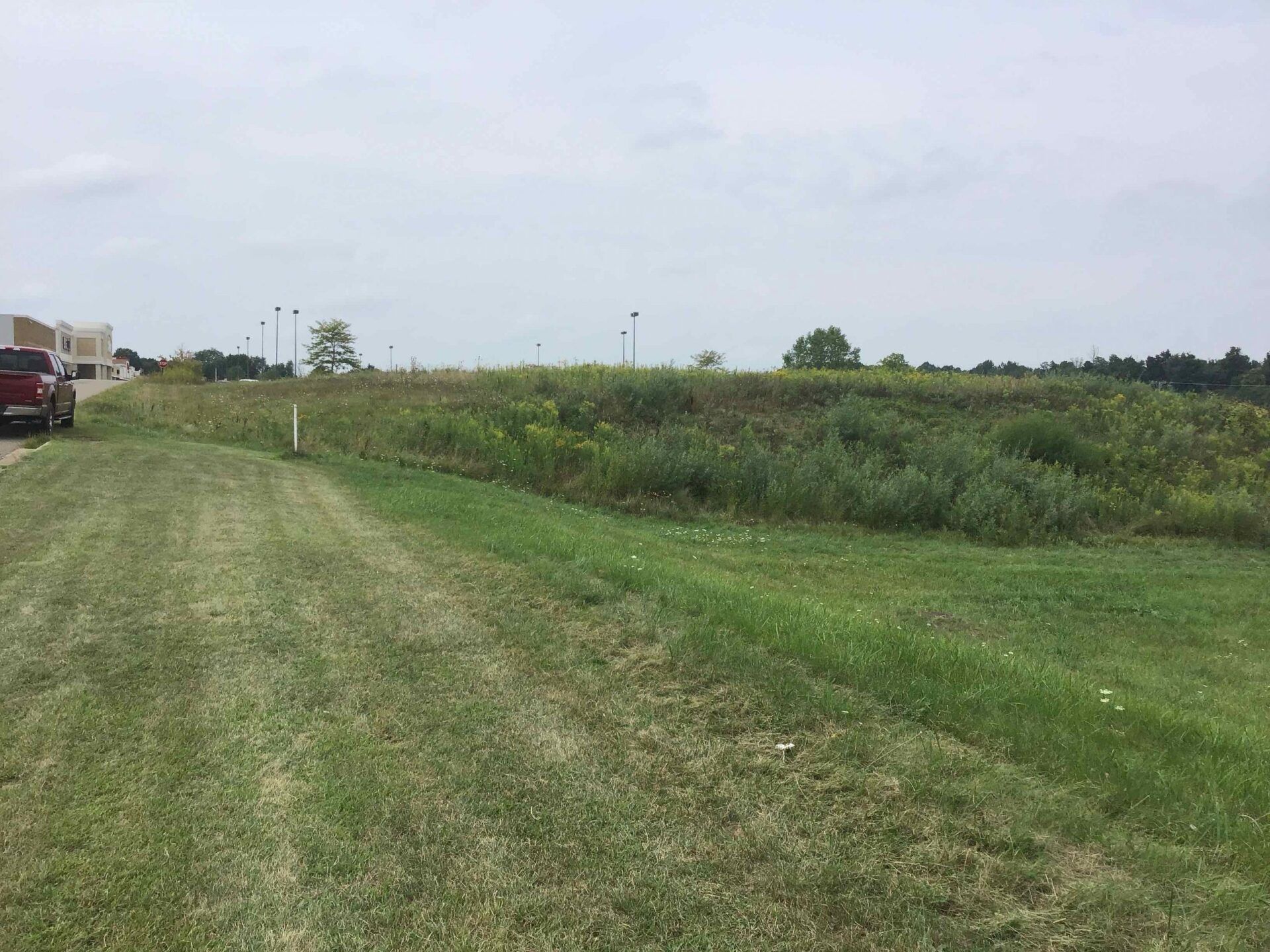 Green grassy field with a ridge of tall grasses and weeds. A building is visible in the background.