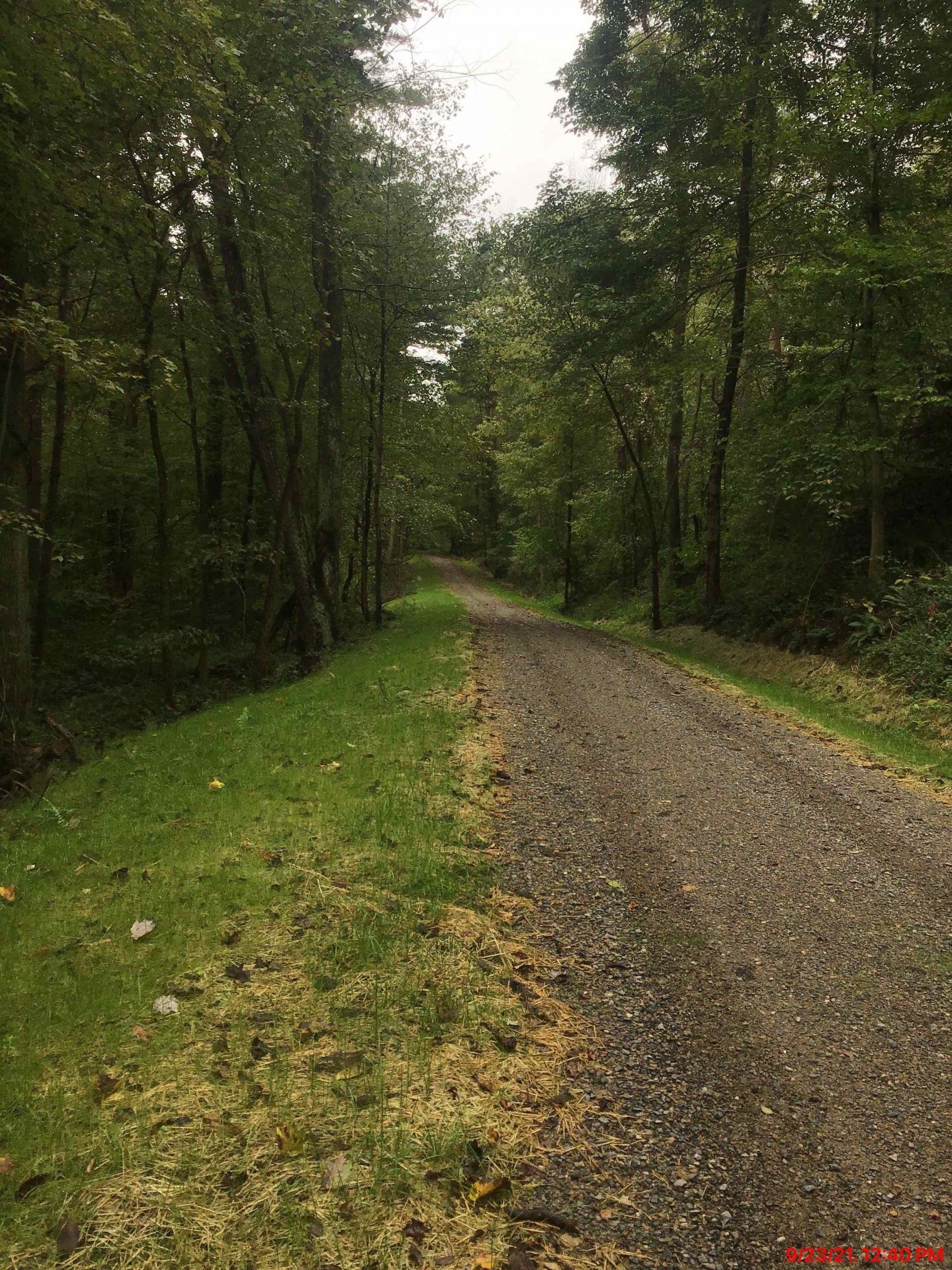 Gravel path through a forest, lined with trees and green grass. Overcast sky.