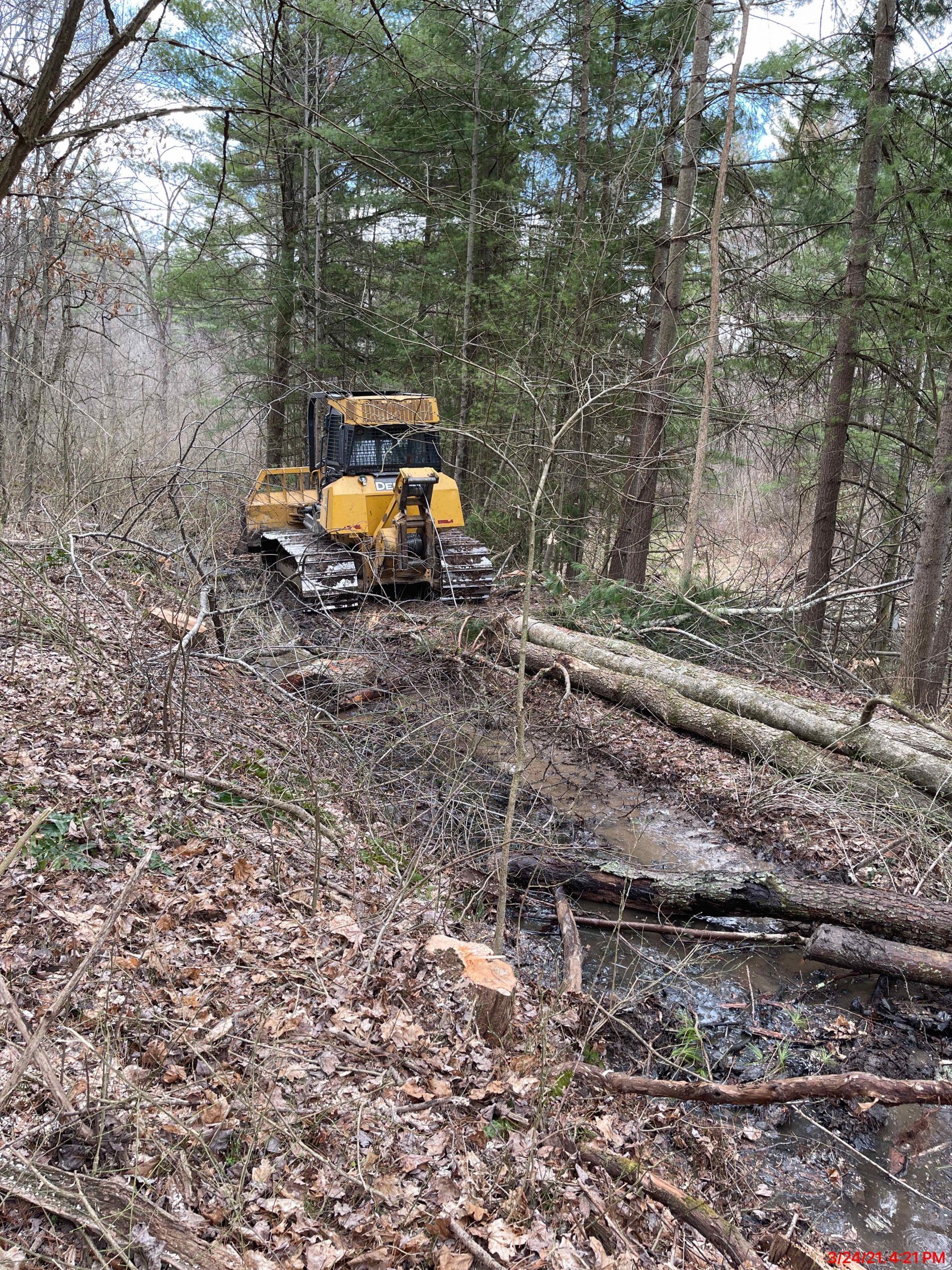 Yellow bulldozer clearing a muddy forest path, logs nearby.