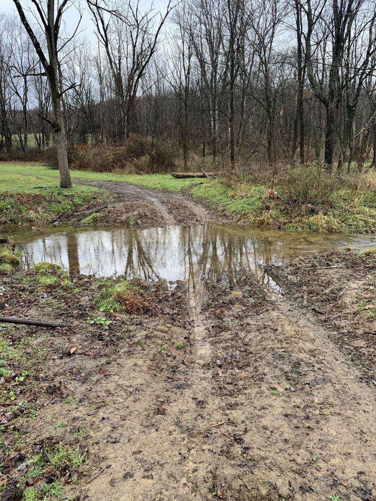 Muddy dirt road with a large puddle, trees in the background. Overcast sky.