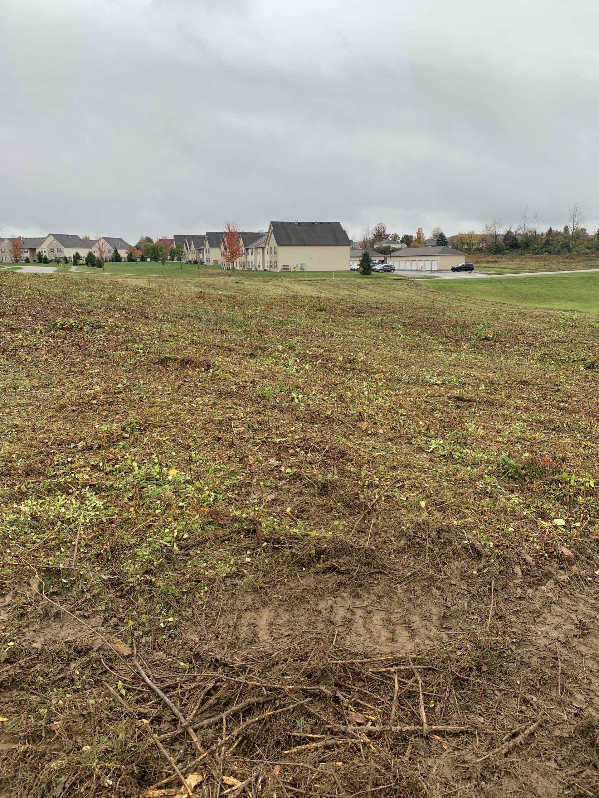 Field covered in leaves, with houses in the background under a cloudy sky.