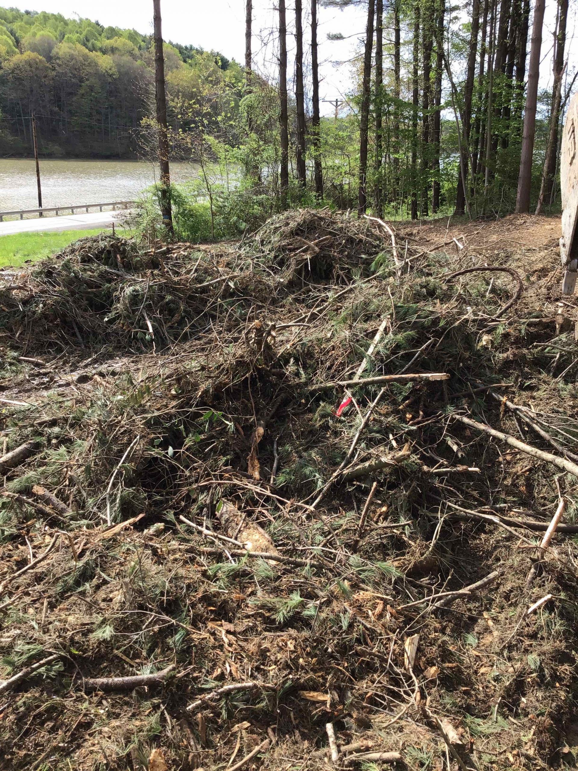 Pile of green and brown brushwood and branches near a body of water and trees.