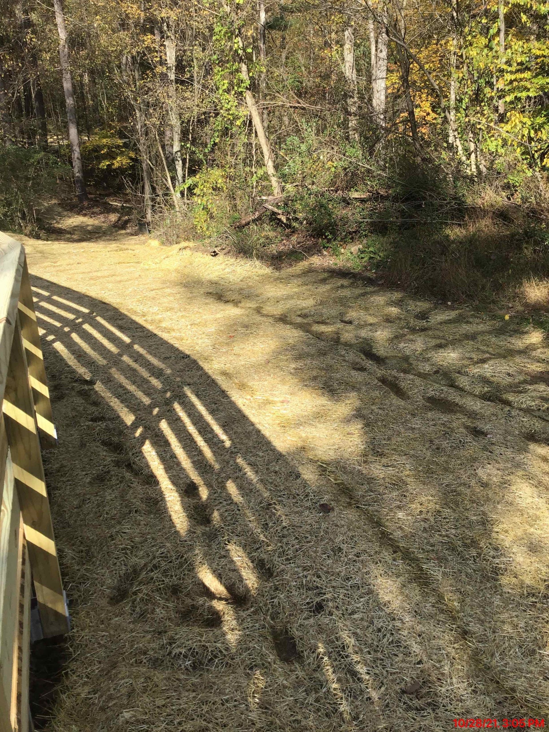 Shadow of wooden railing casts on a gravel path leading into a wooded area. Sunny day.