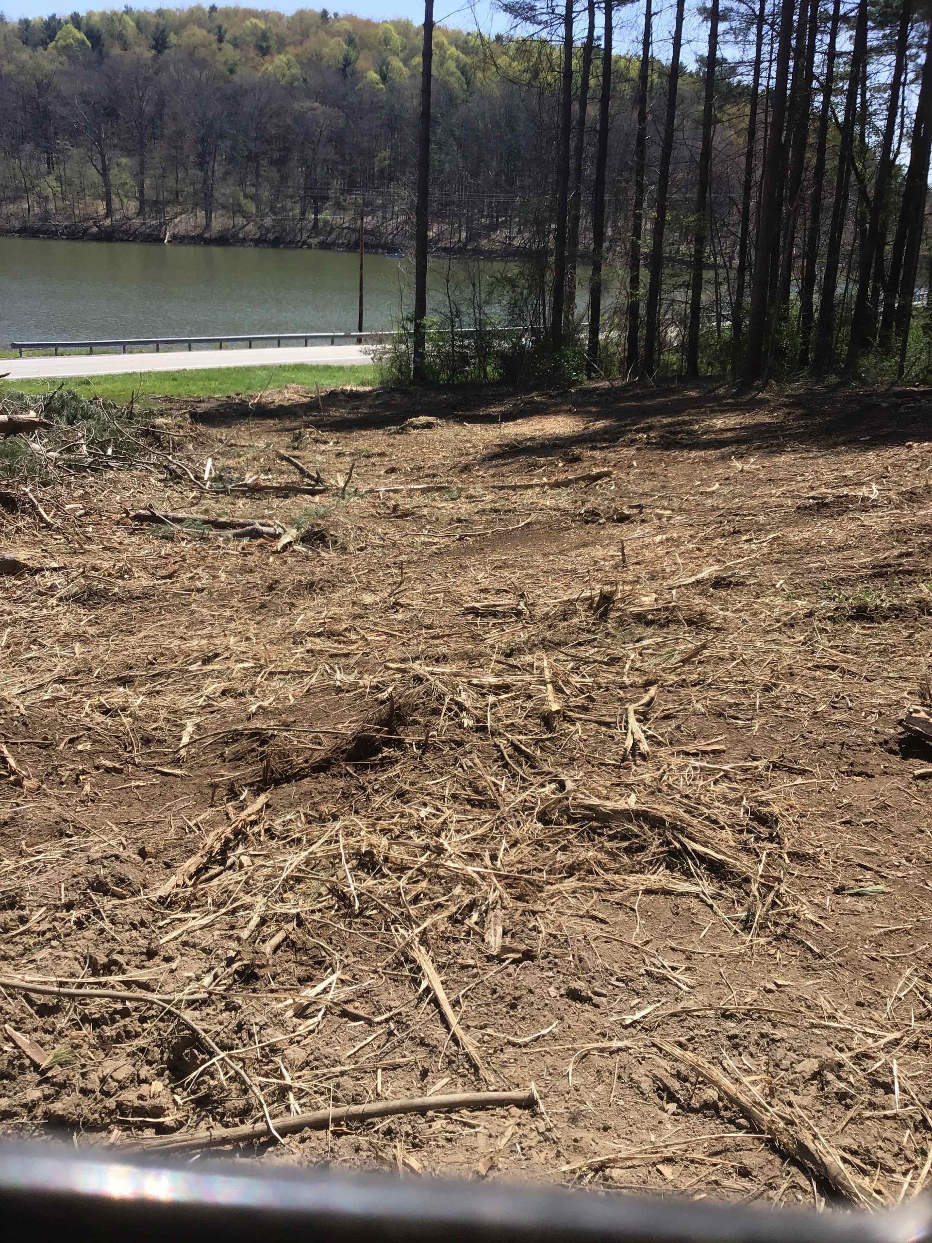 Cleared land covered in wood chips near a lake with trees and a road in the background.