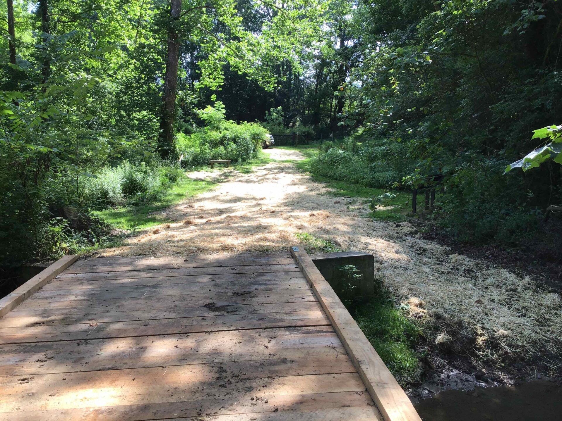 Wooden bridge leading to a dirt path in a wooded area with trees and vegetation.