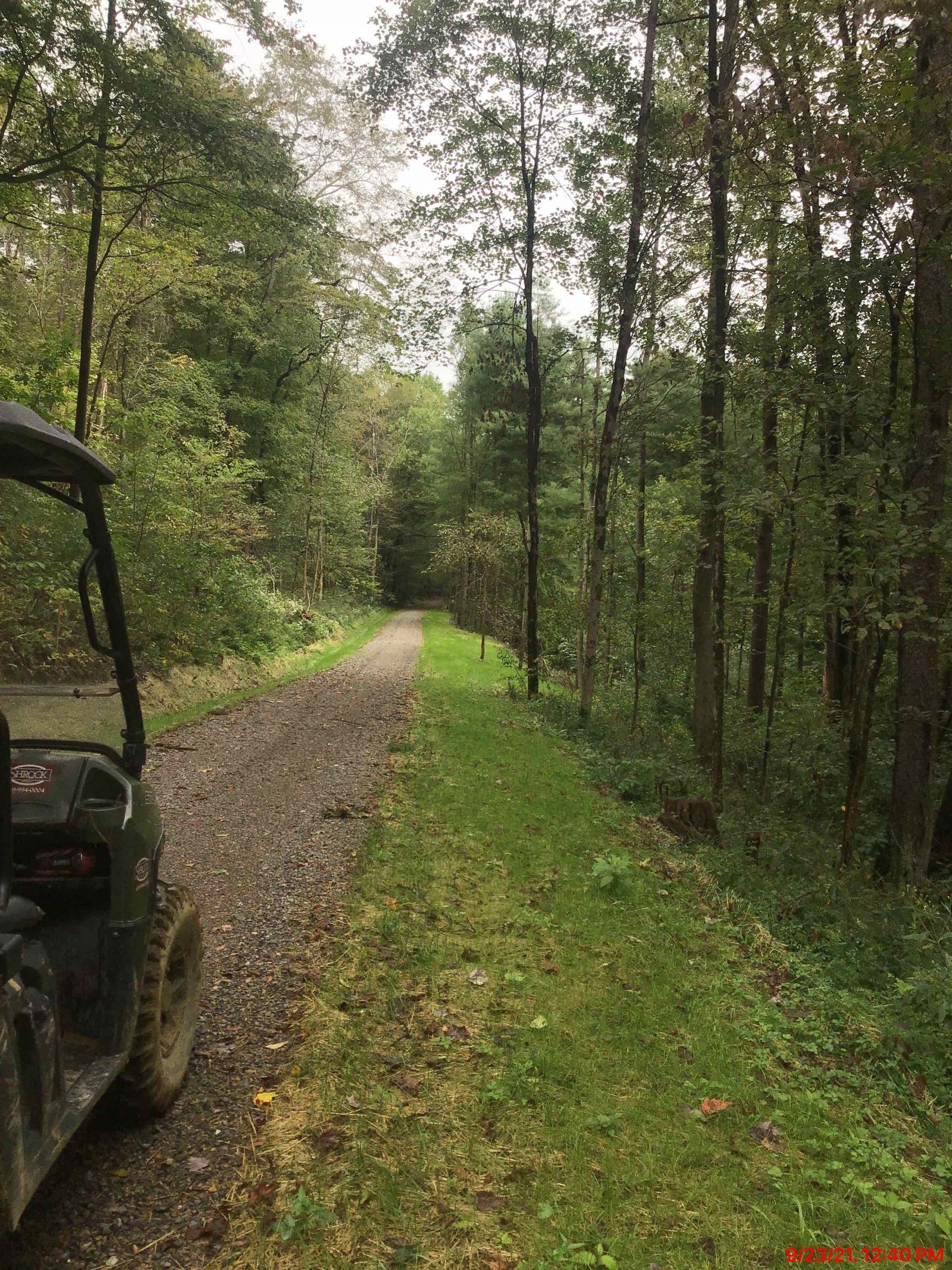 Gravel path through a forest, with tall trees on either side. A side-by-side vehicle is visible on the left.