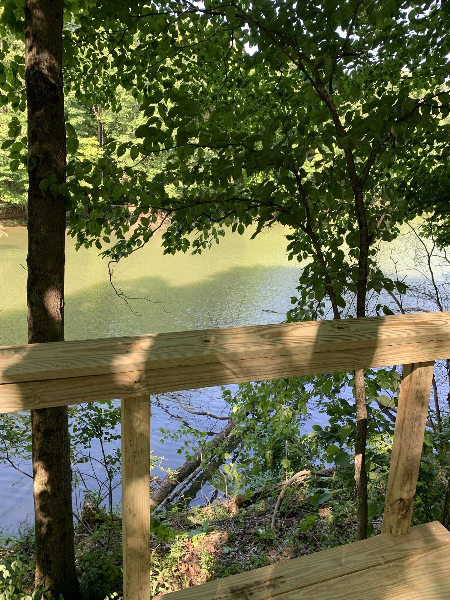 View of a lake through wooden railing and trees, with a light green and blue hue.