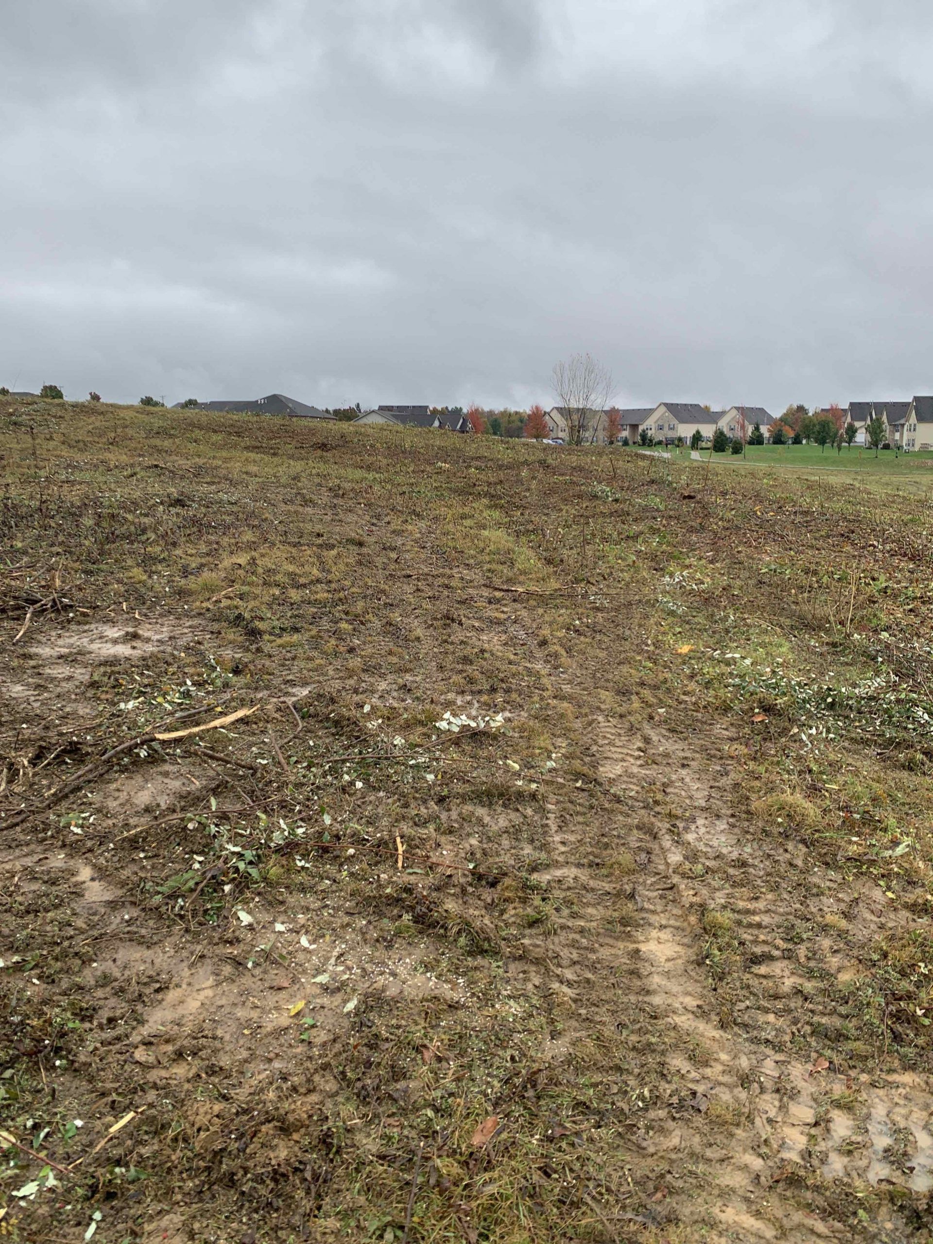 Muddy, brush-covered field under a cloudy sky. Houses visible in the distance.