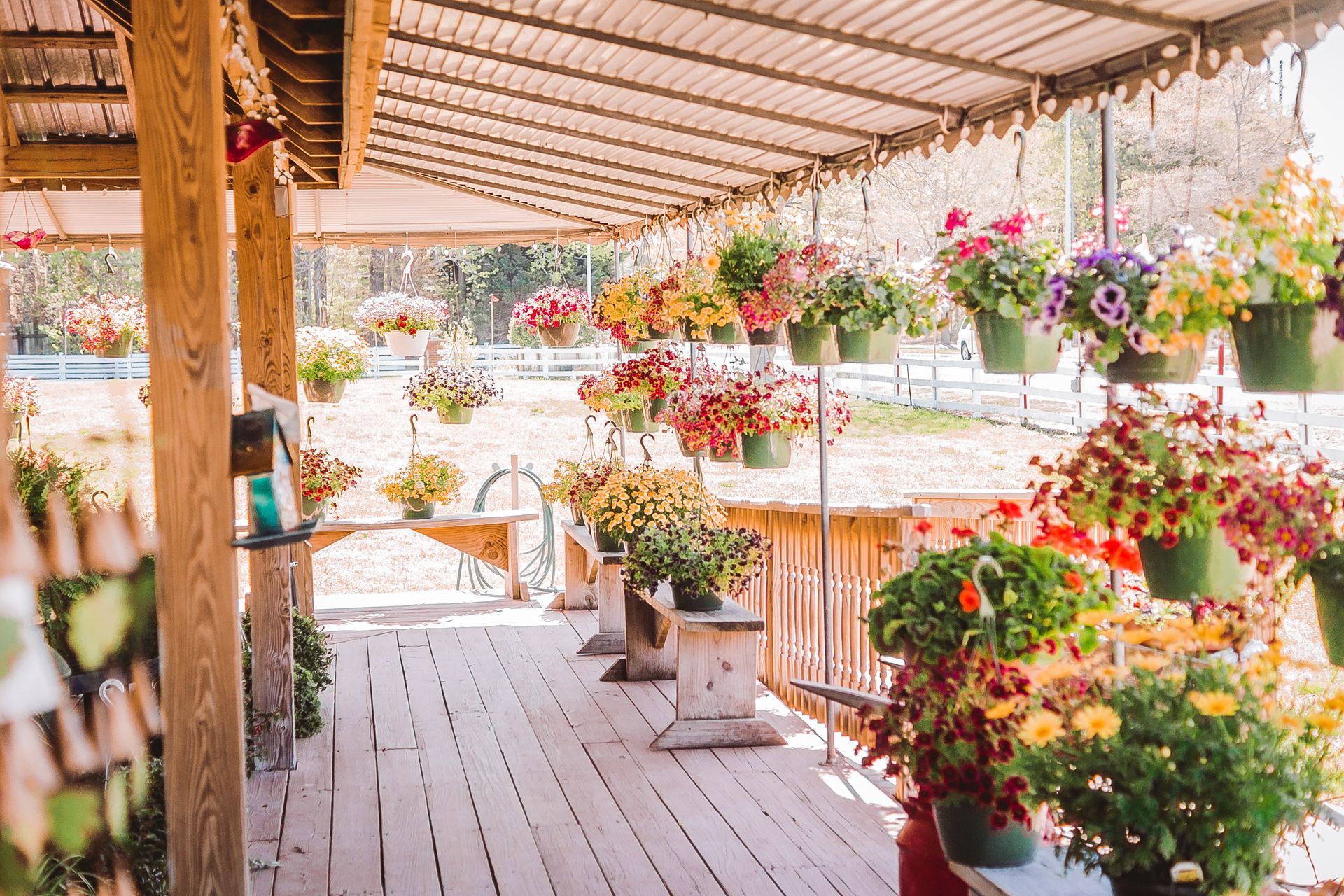 Spring and Summer Market