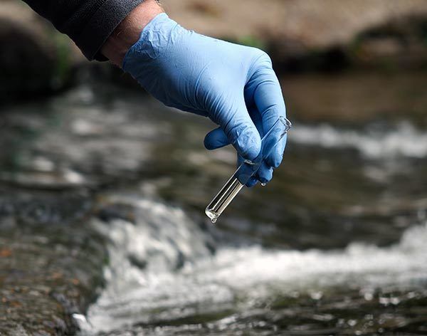 Blue-gloved hand holding a test tube over a flowing stream water sample