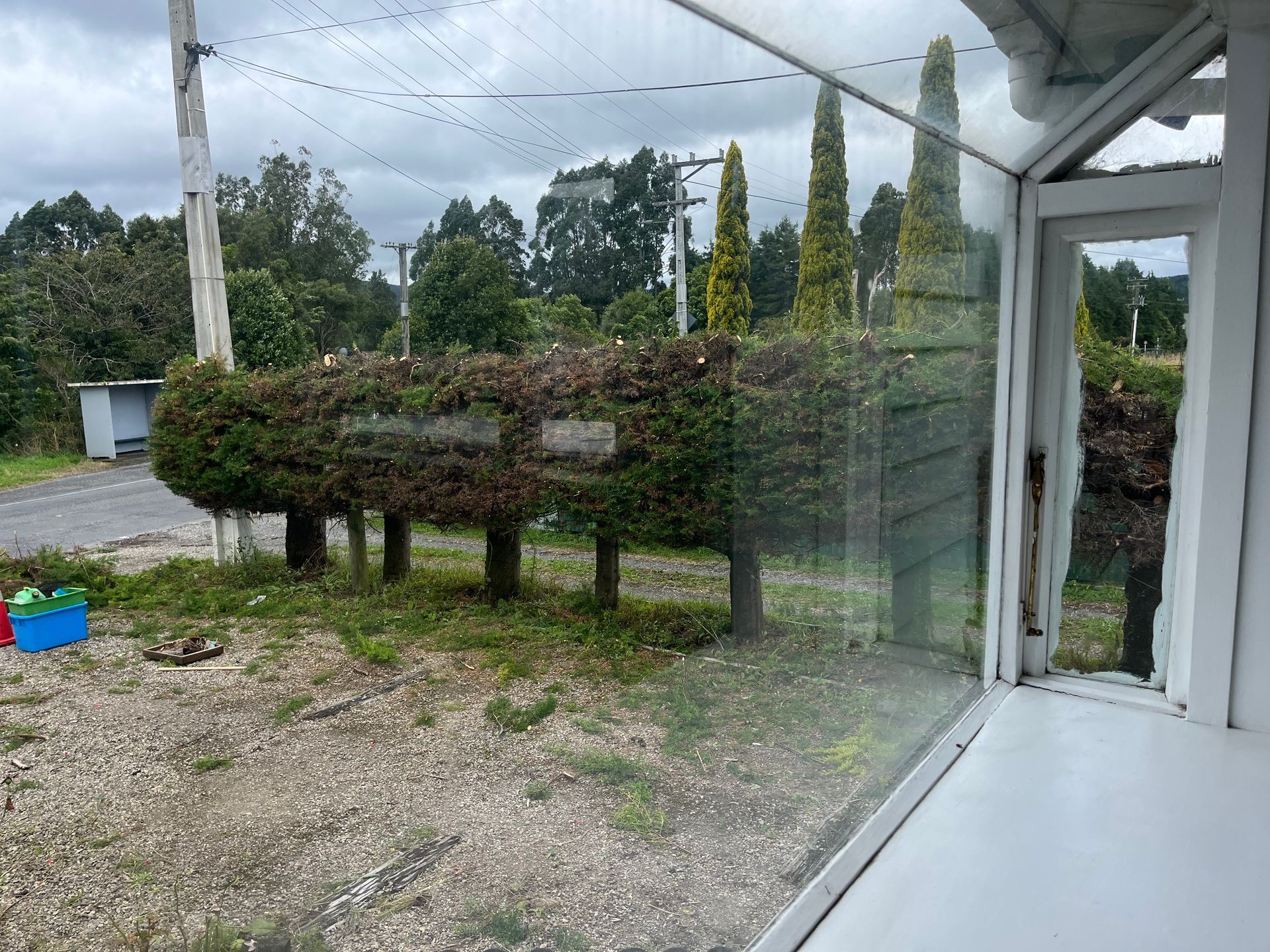 A window with a reflection of trees in it