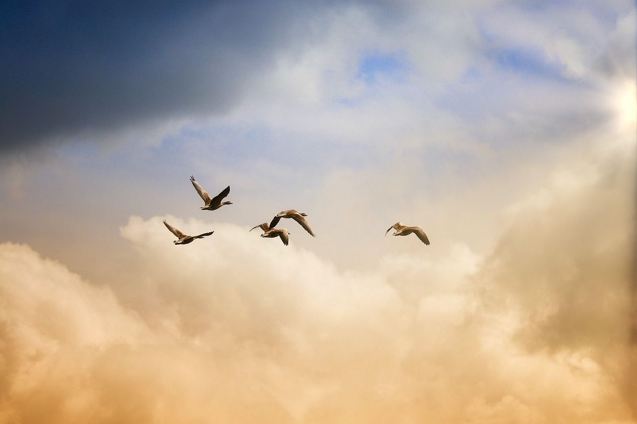 Light of Heavens