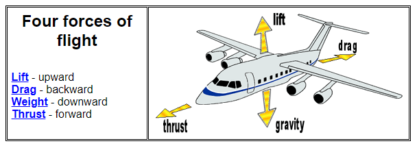Gravity and flight in the Holy Qur'an