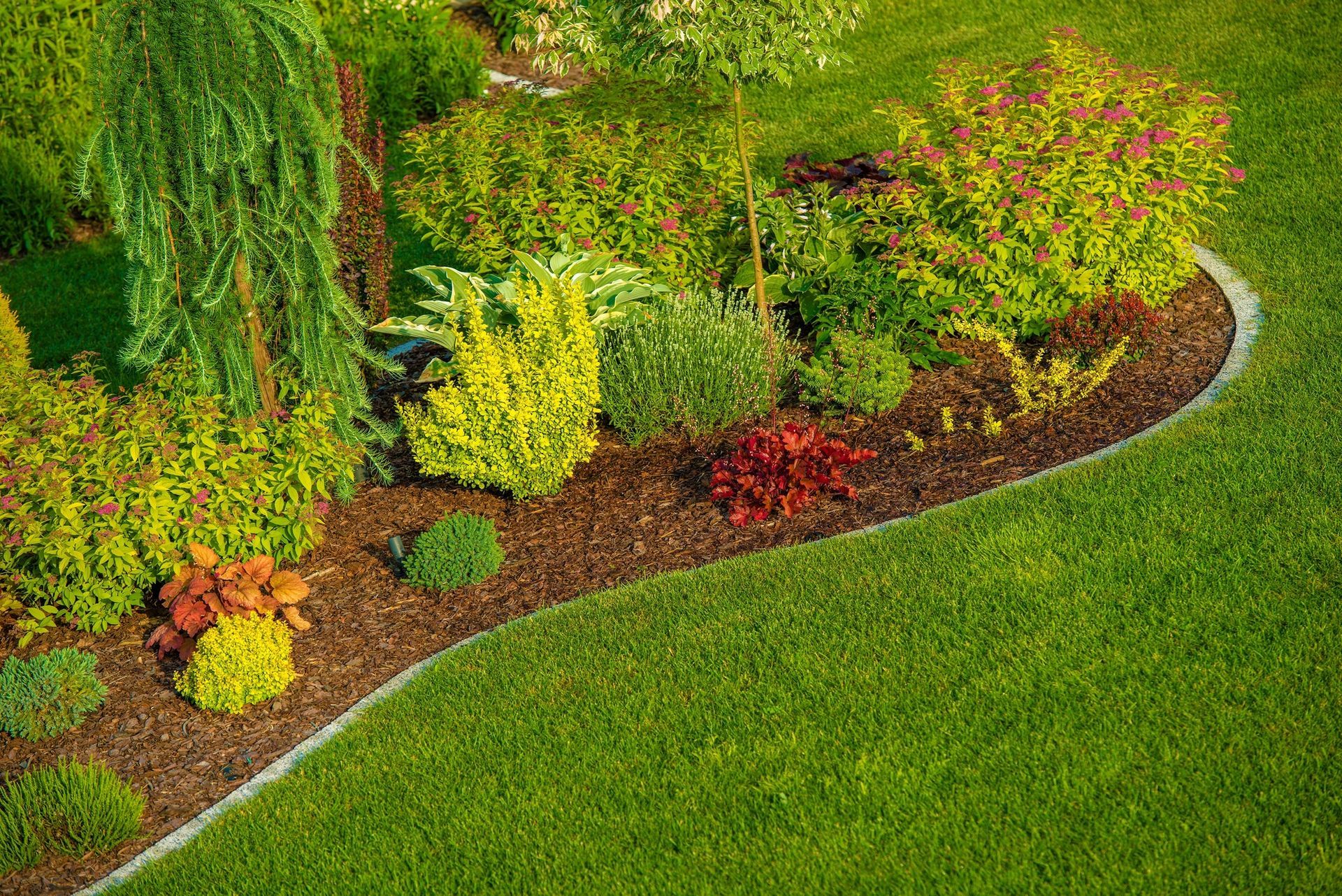 Landscaping Services in Alma, GA Landscaping Services in Alma, GA
