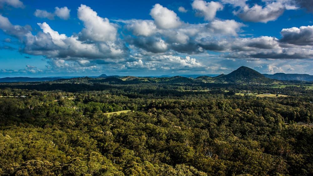 An Aerial View of a Lush Green Forest With Mountains and Clouds in the Sky — Noosa Tree Stump Removal in Tewantin, QLD