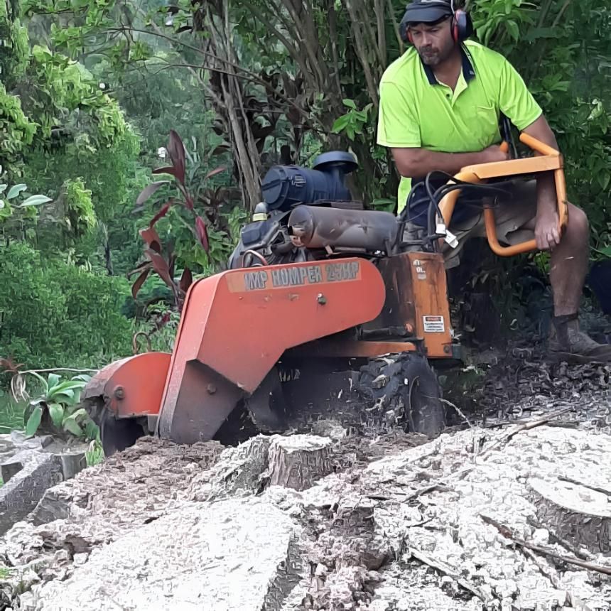 A Man Is Sitting On A Machine That Is Cutting A Tree Stump — Noosa Tree Stump Removal in Sunrise Beach, QLD
