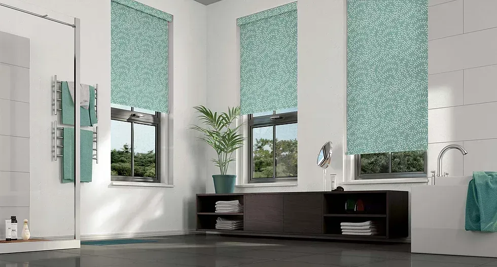 Shades & Window Coverings