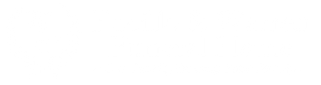 White horizontal bar with a small black diagonal mark on the left side
