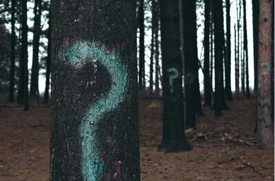 A tree with a question mark painted on it in the middle of a forest.