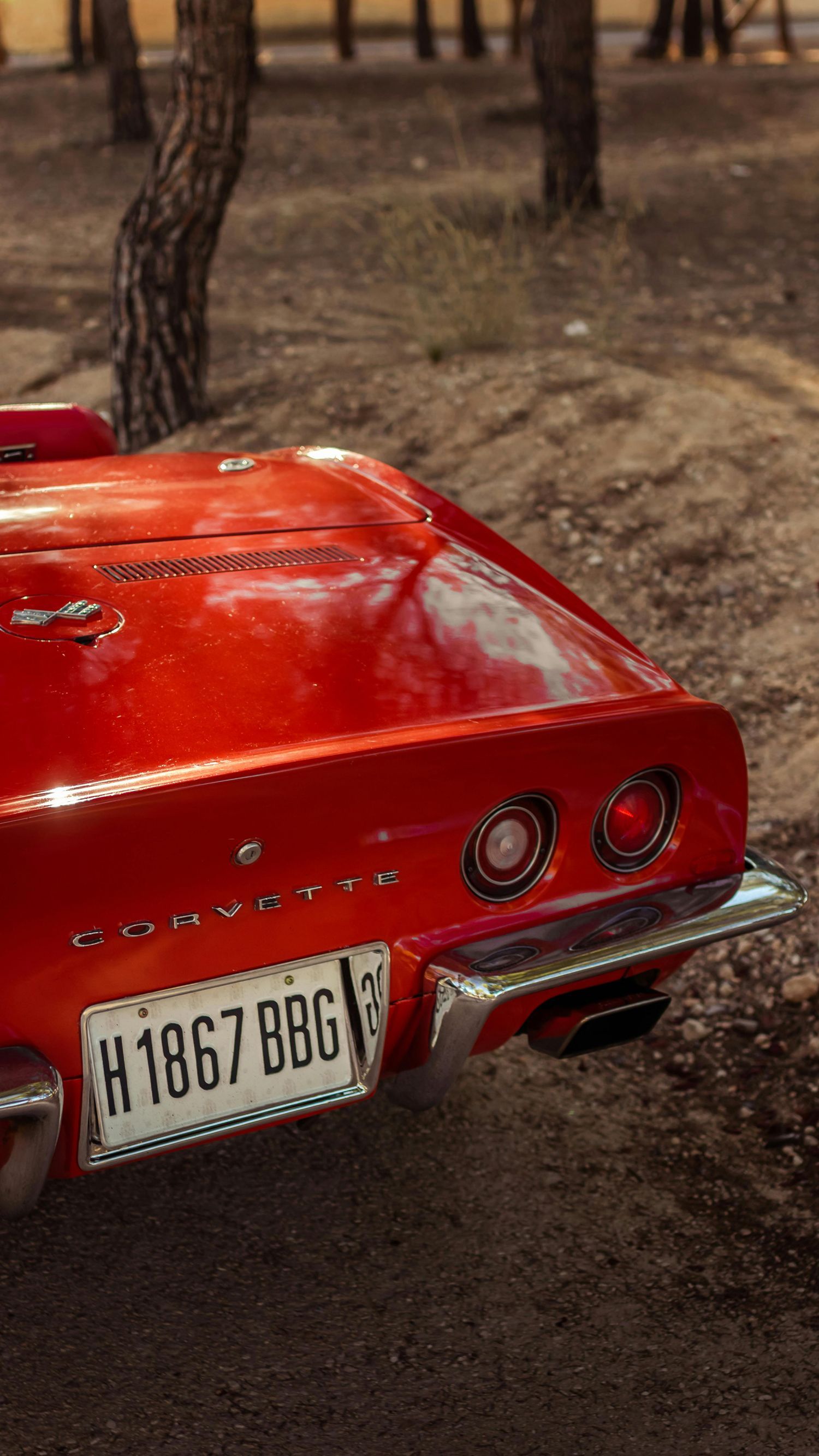 A red corvette is parked on the side of the road.
