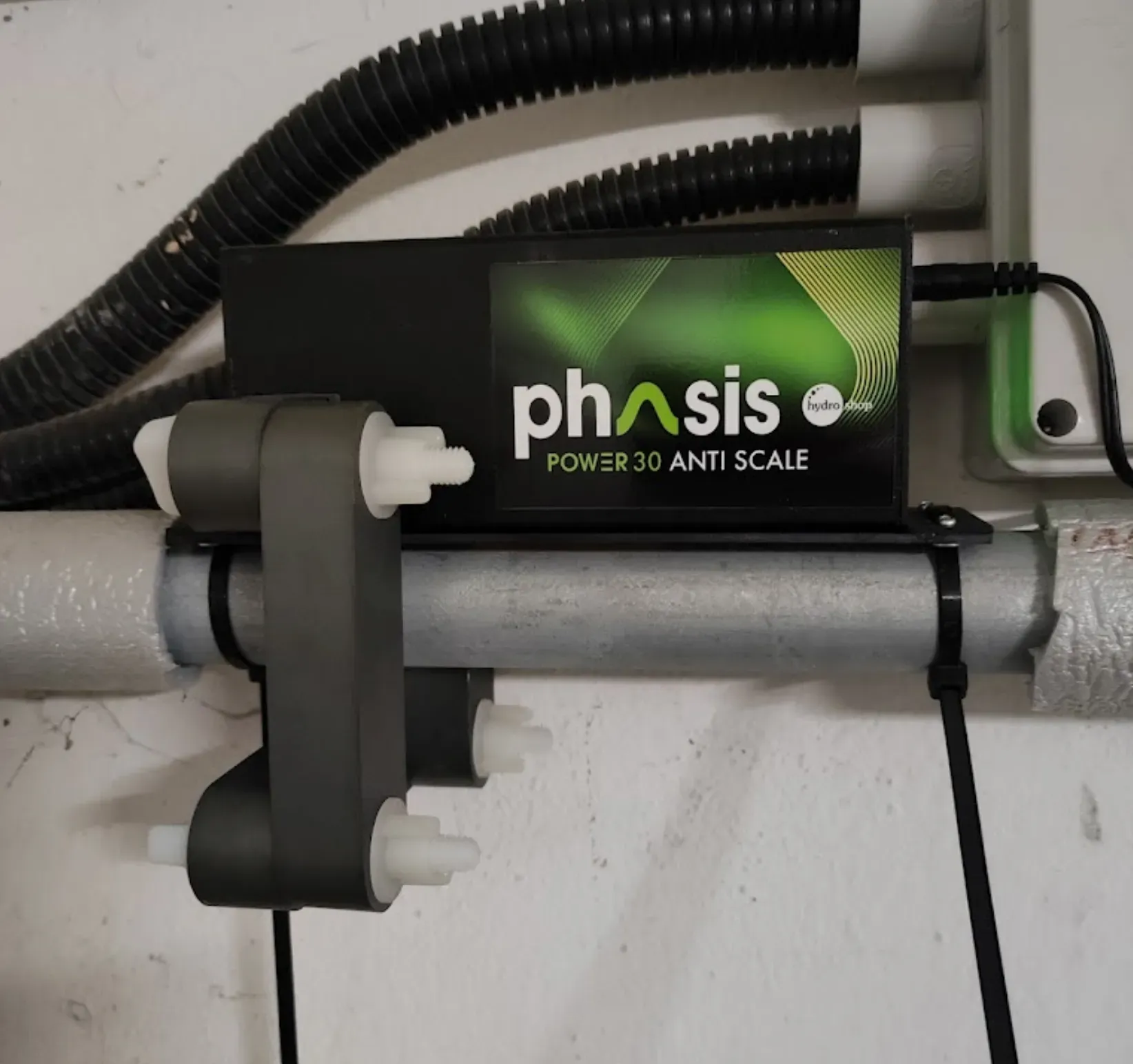 Phasis30_foto
