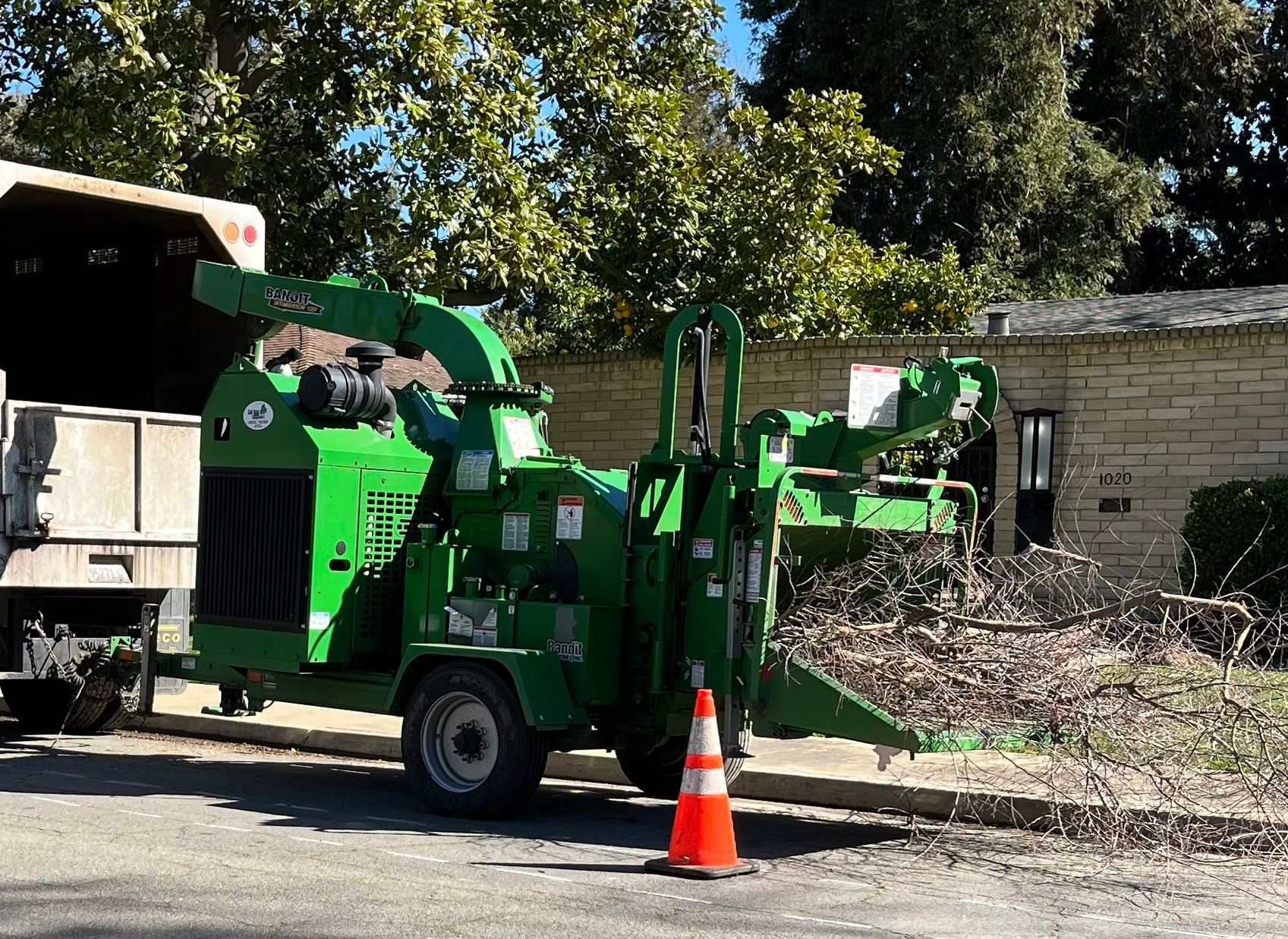 Tree Removal | Hughson, CA | Green Valley Tree Service