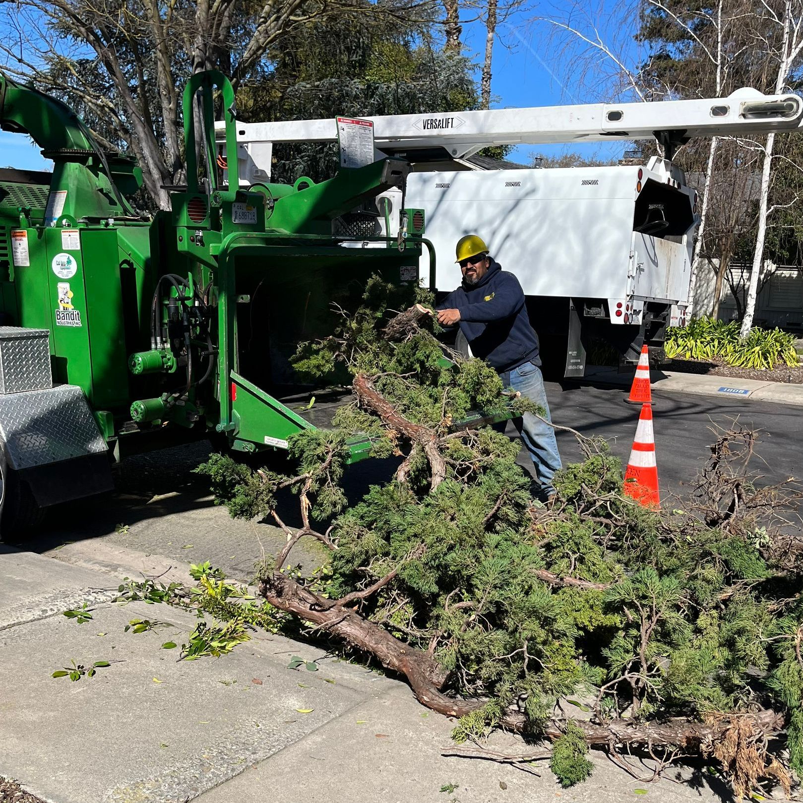 Trees Fallen on House Roof — Hughson, CA — Green Valley Tree Service
