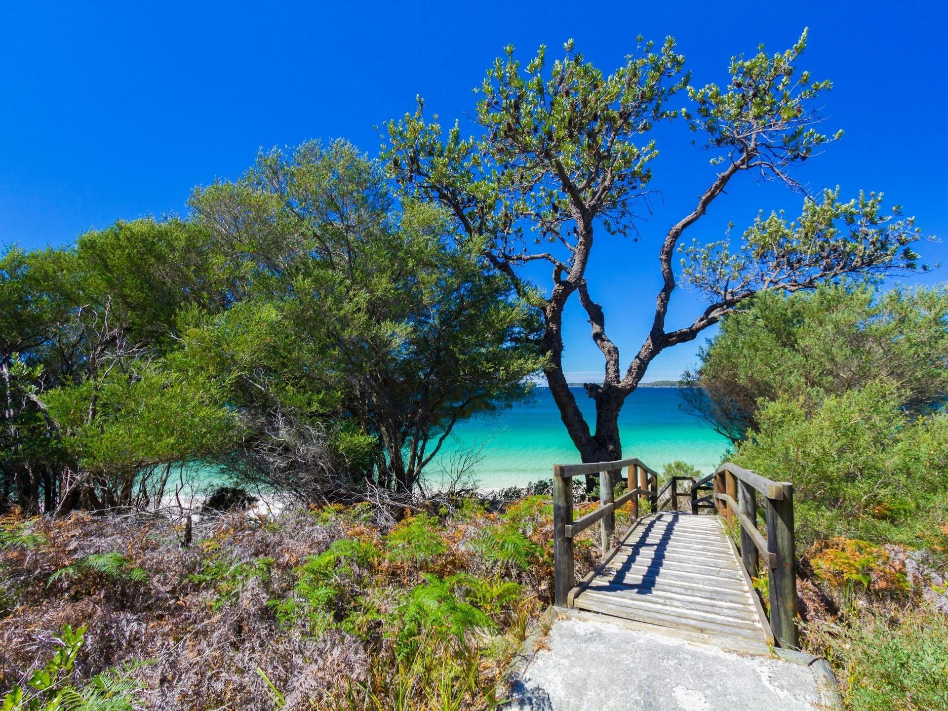 Wooden Walkway Leads to A Turquoise Ocean and White Sand Beach — Hills 2 Ocean Plumbing in Iluka, NSW