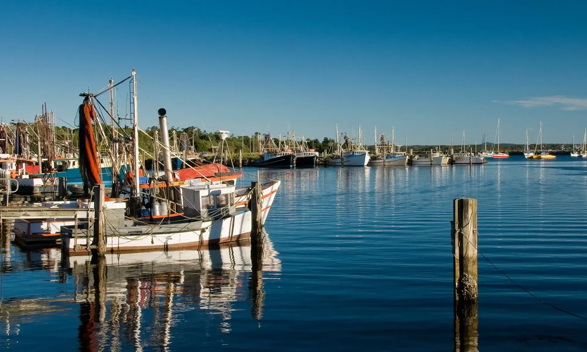 Boats Docked in Harbor on A Sunny Day— Hills 2 Ocean Plumbing in Iluka, NSW