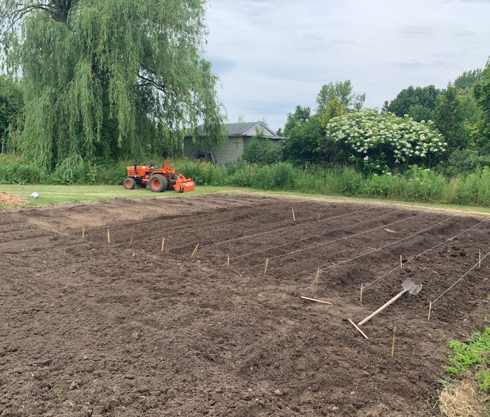 Un tracteur laboure un champ avec un arbre en arrière-plan.