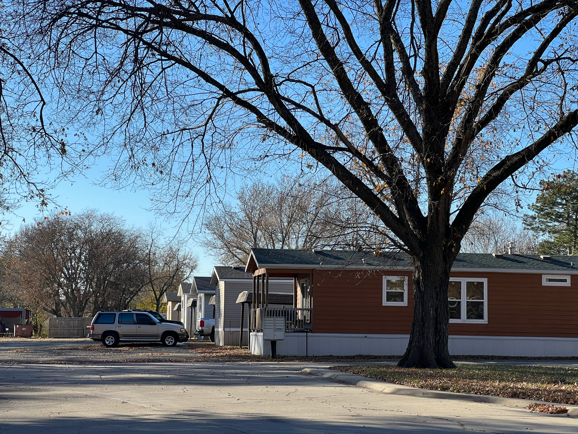 A mobile home with a tree in front of it