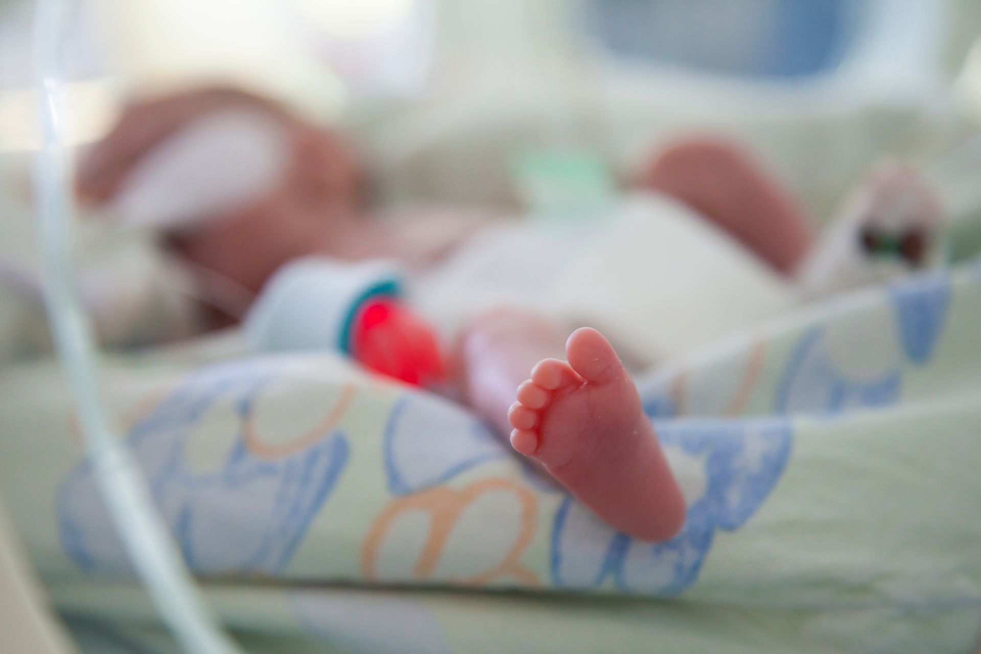 Friends of Alfie Martin - A close up of a baby 's feet in an incubator.