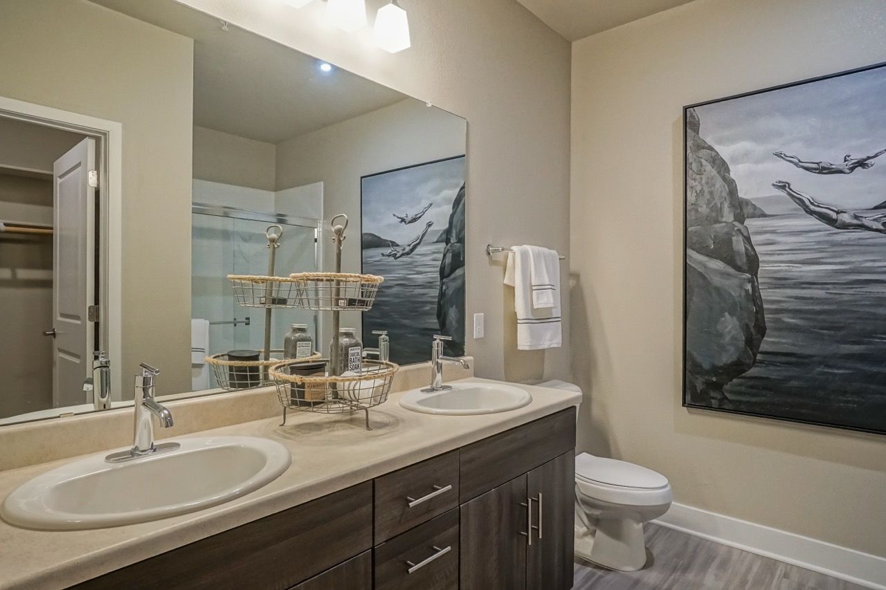 Two-sink bathroom vanity with large mirror and a shower in the background.