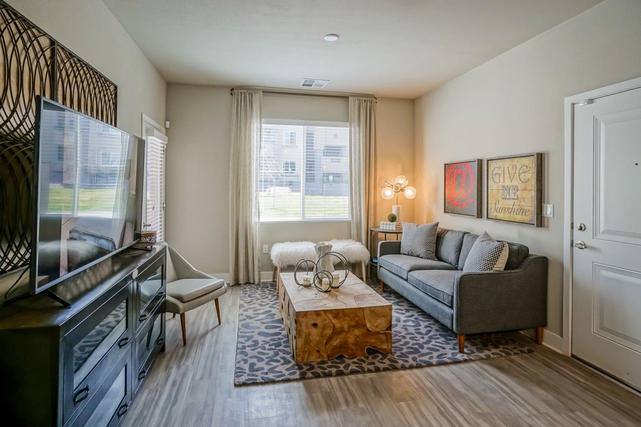Living room with gray sofa, coffee table, TV stand, and window with sheer curtains.