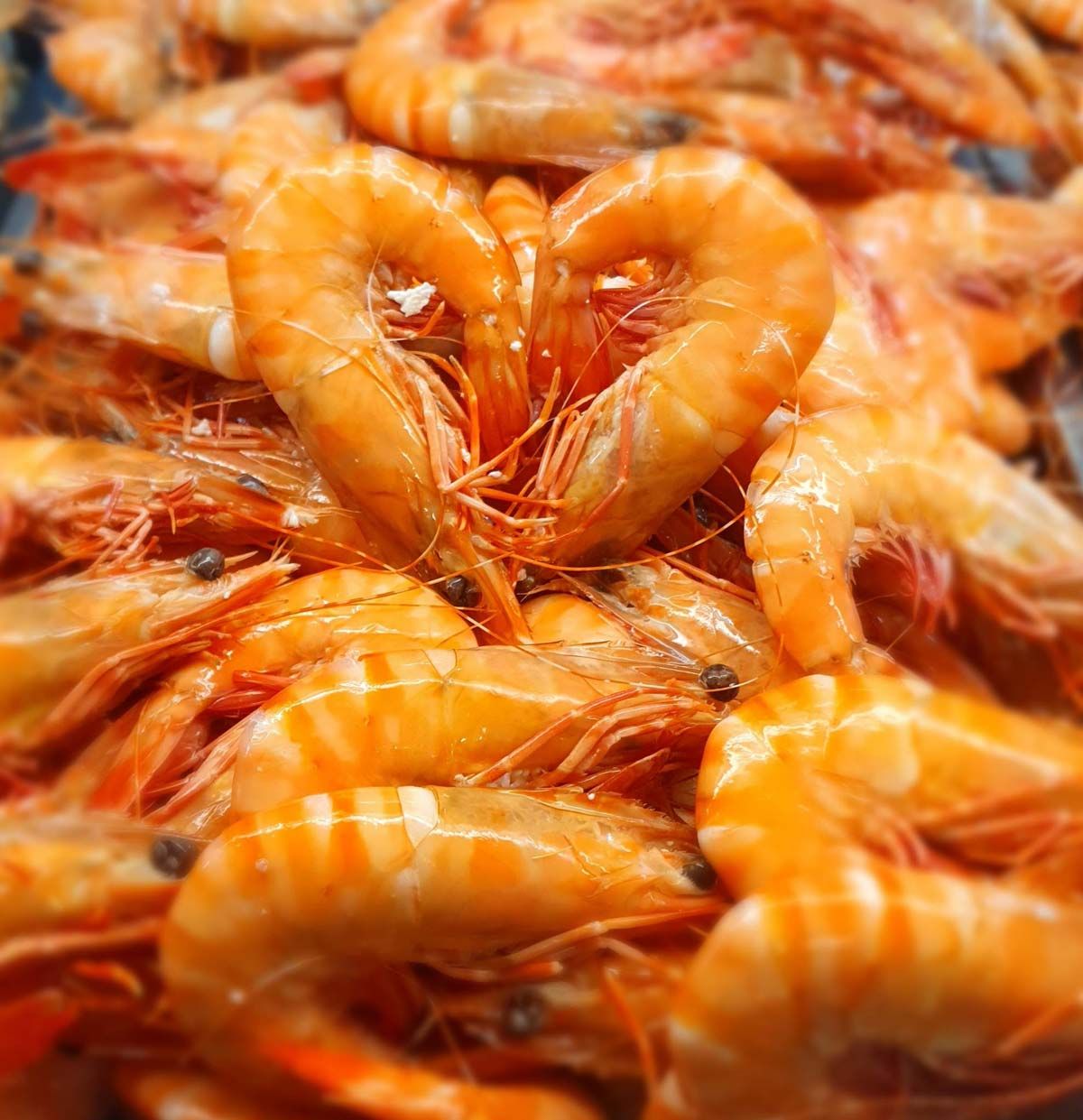 nq-prawn-cutlets-seafood-shop-in-cairns