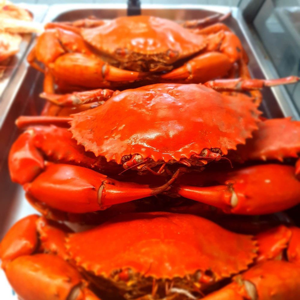 Cooked Mud Crabs inside a container— Locally Caught Fresh Mud Crabs in Portsmith, QLD