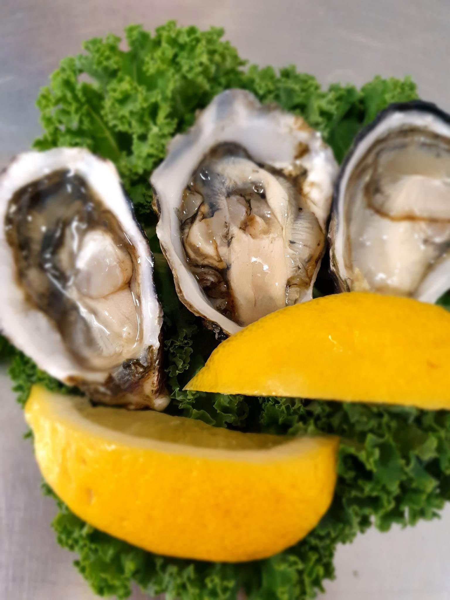 Pacific Oysters Served with Lemon and green Veggie — Fresh, Locally Caught Seafood in Portsmith, QLD