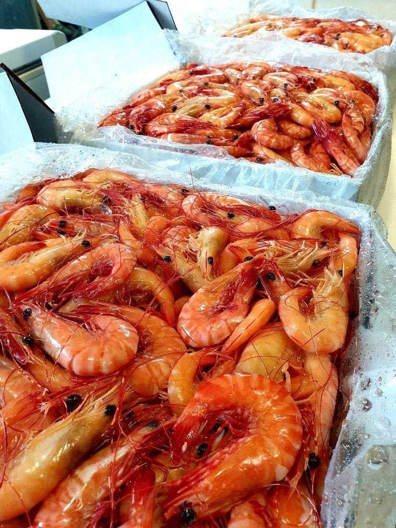 Raw Prawns Kept inside Boxes — Seafood Wholesale in Portsmith, QLD