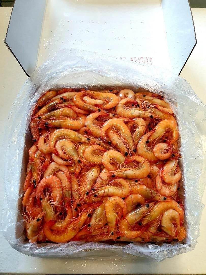 Prawns  packed in a box — Seafood Wholesale in Portsmith, QLD
